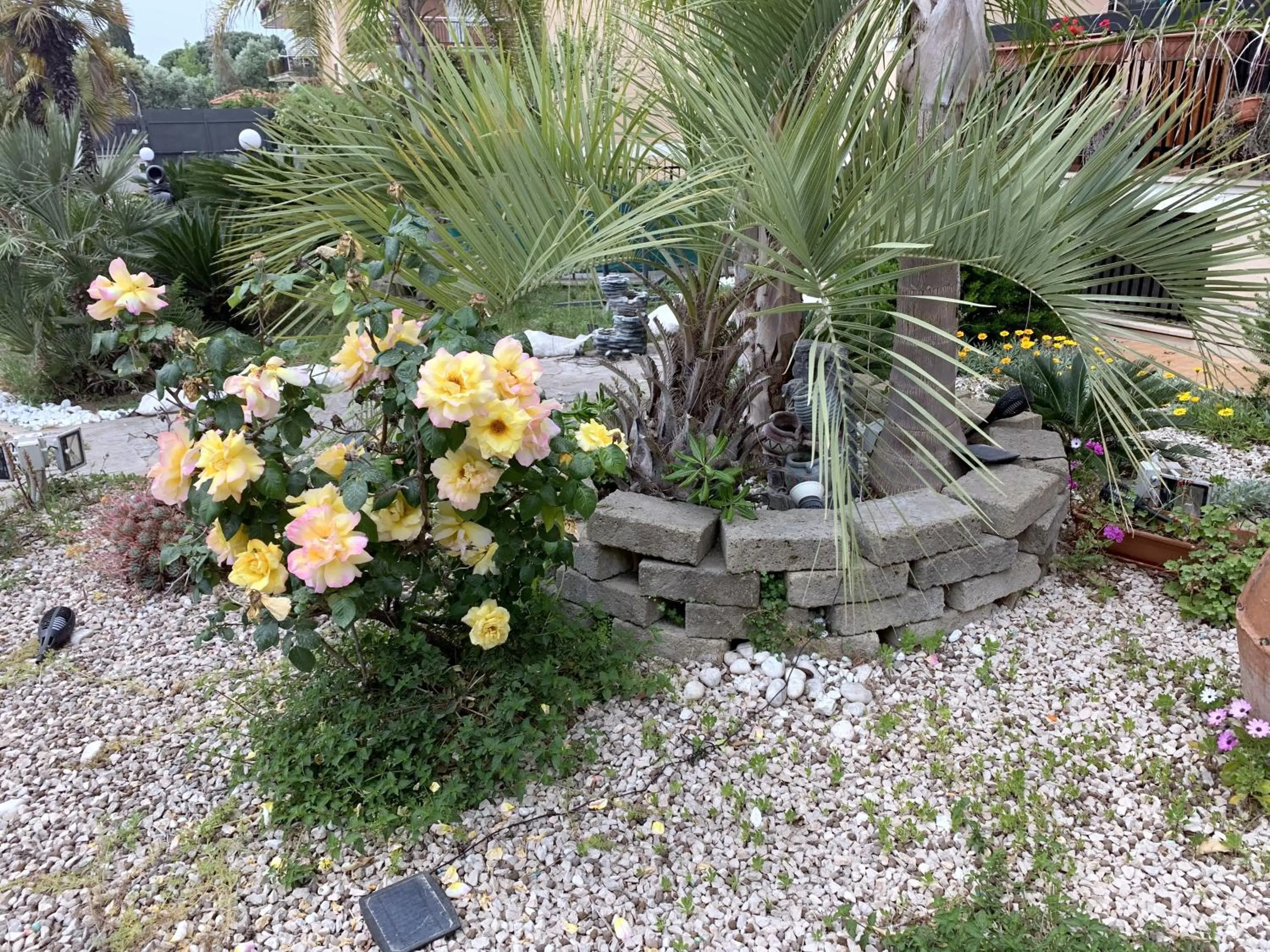 Day in Il Giardino Di Adriana