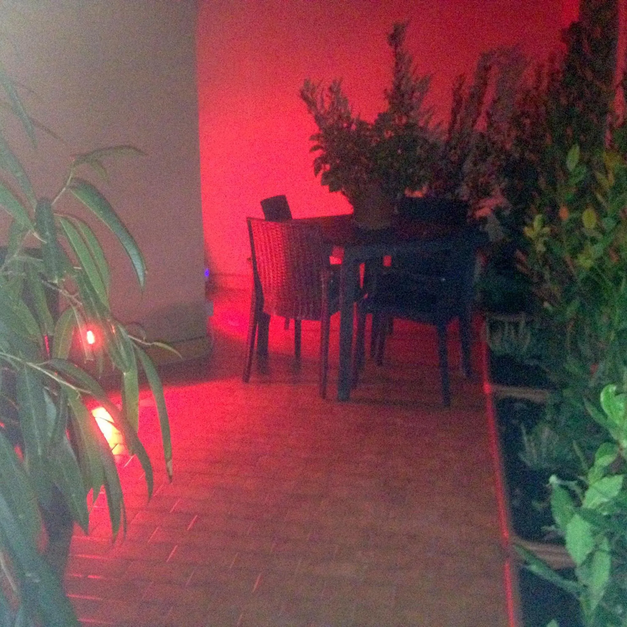 Garden in Il Giardino Di Adriana