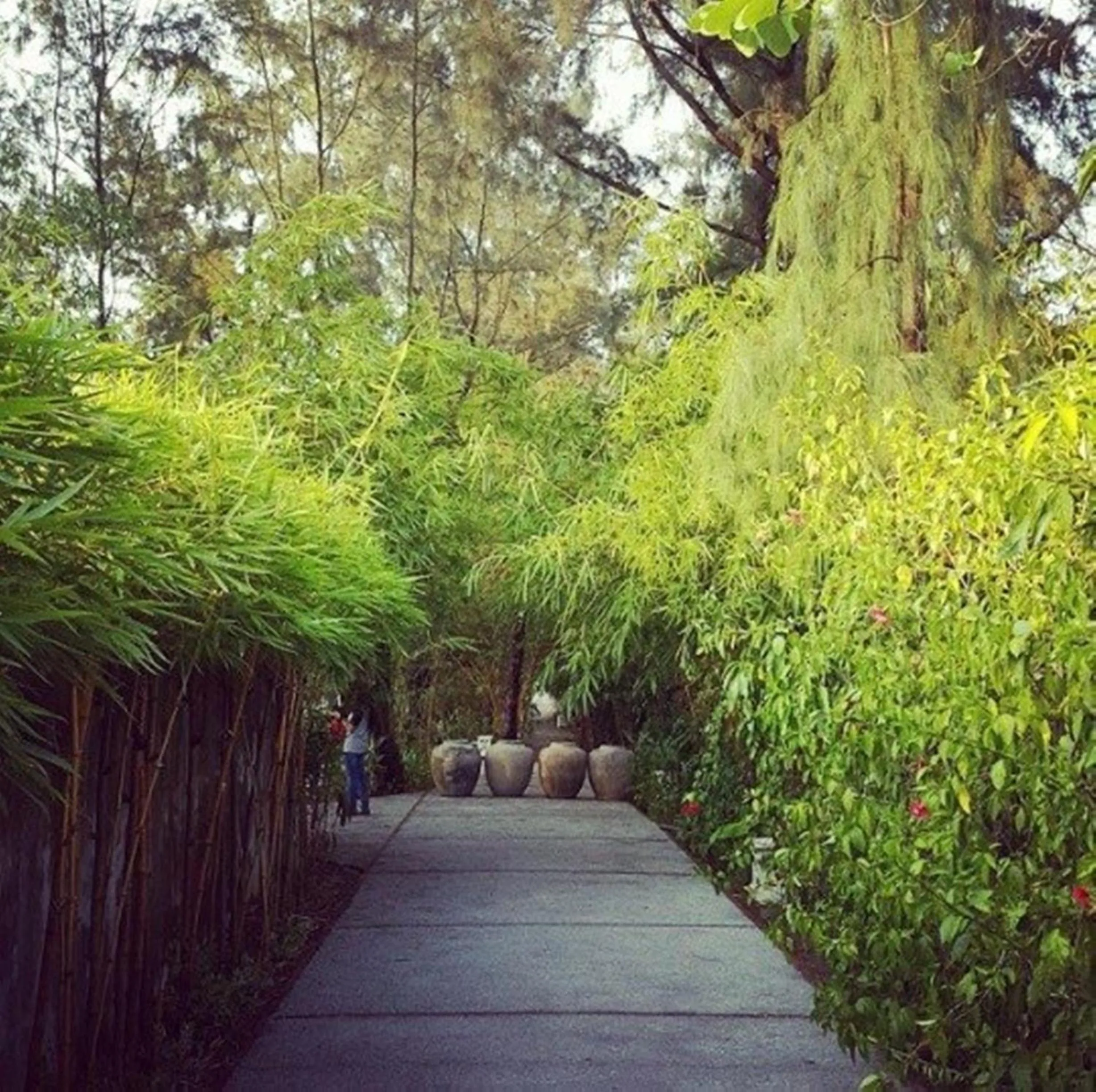 Facade/entrance in Villa Louise Hue Beach Boutique Hotel