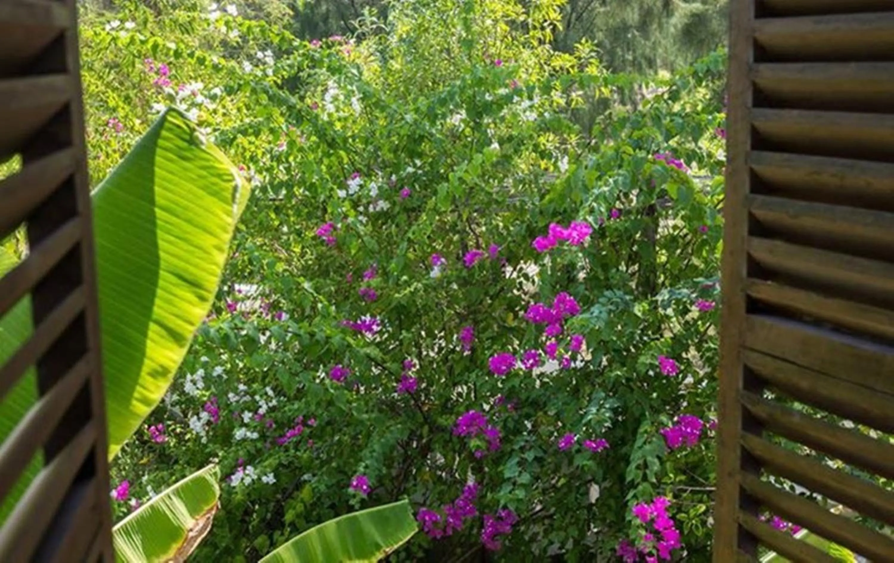 Spring in Villa Louise Hue Beach Boutique Hotel
