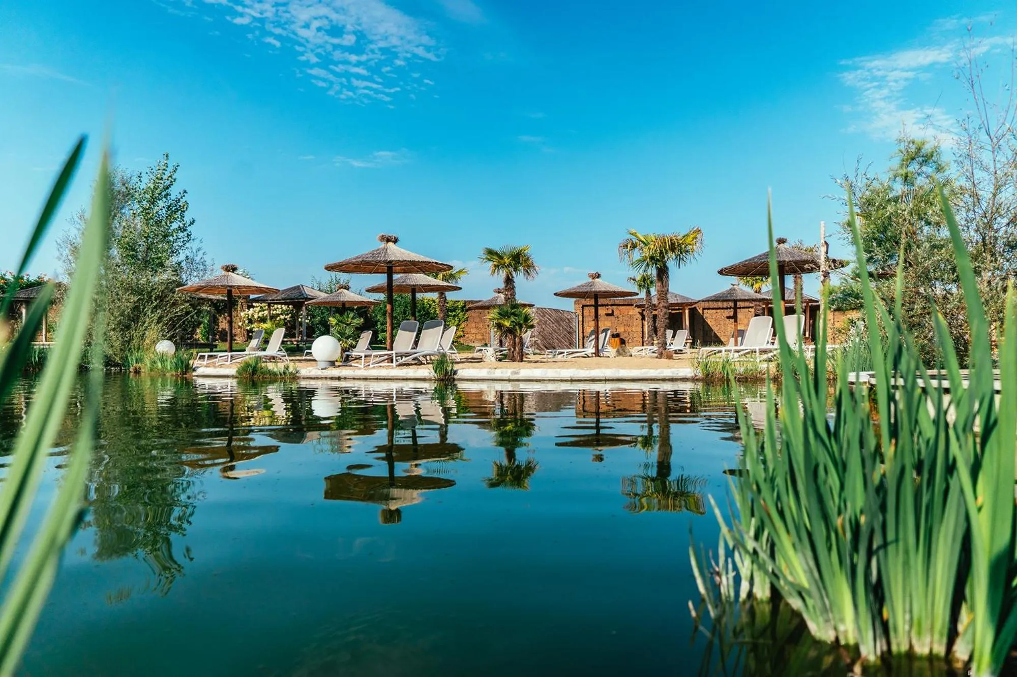 Activities in Pension Wess