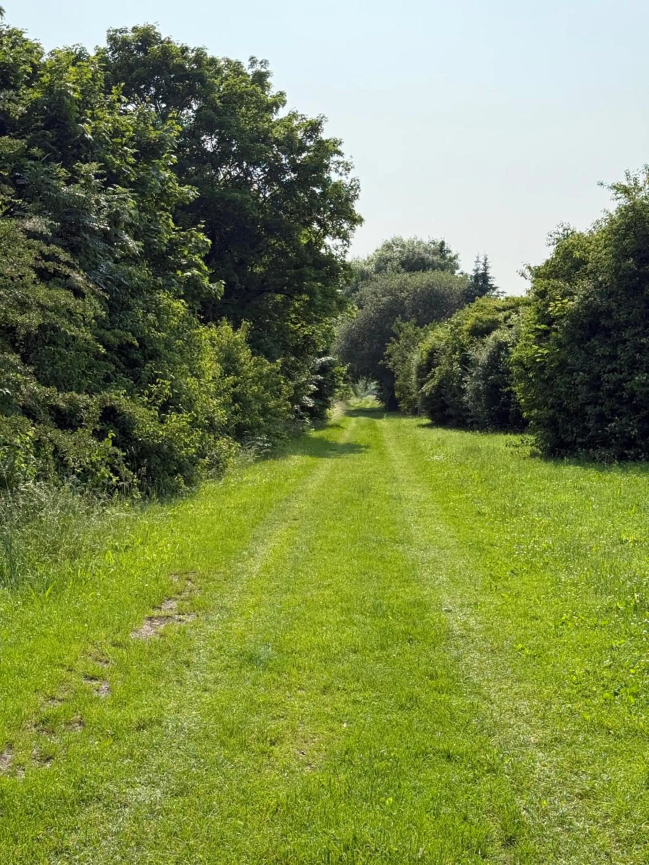 Hiking in Pension Wess