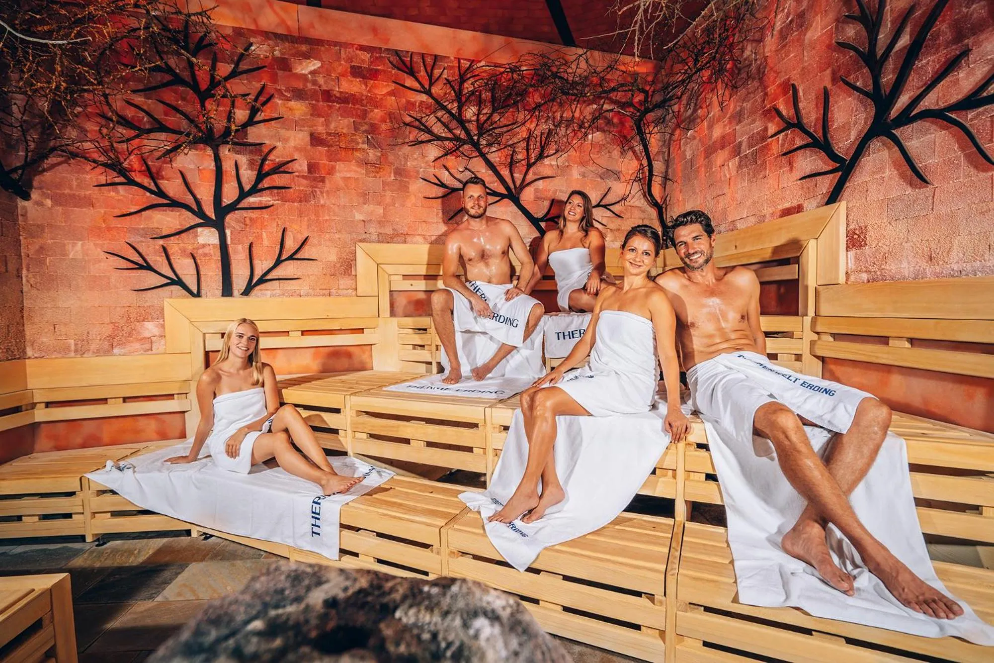 Activities in Pension Wess