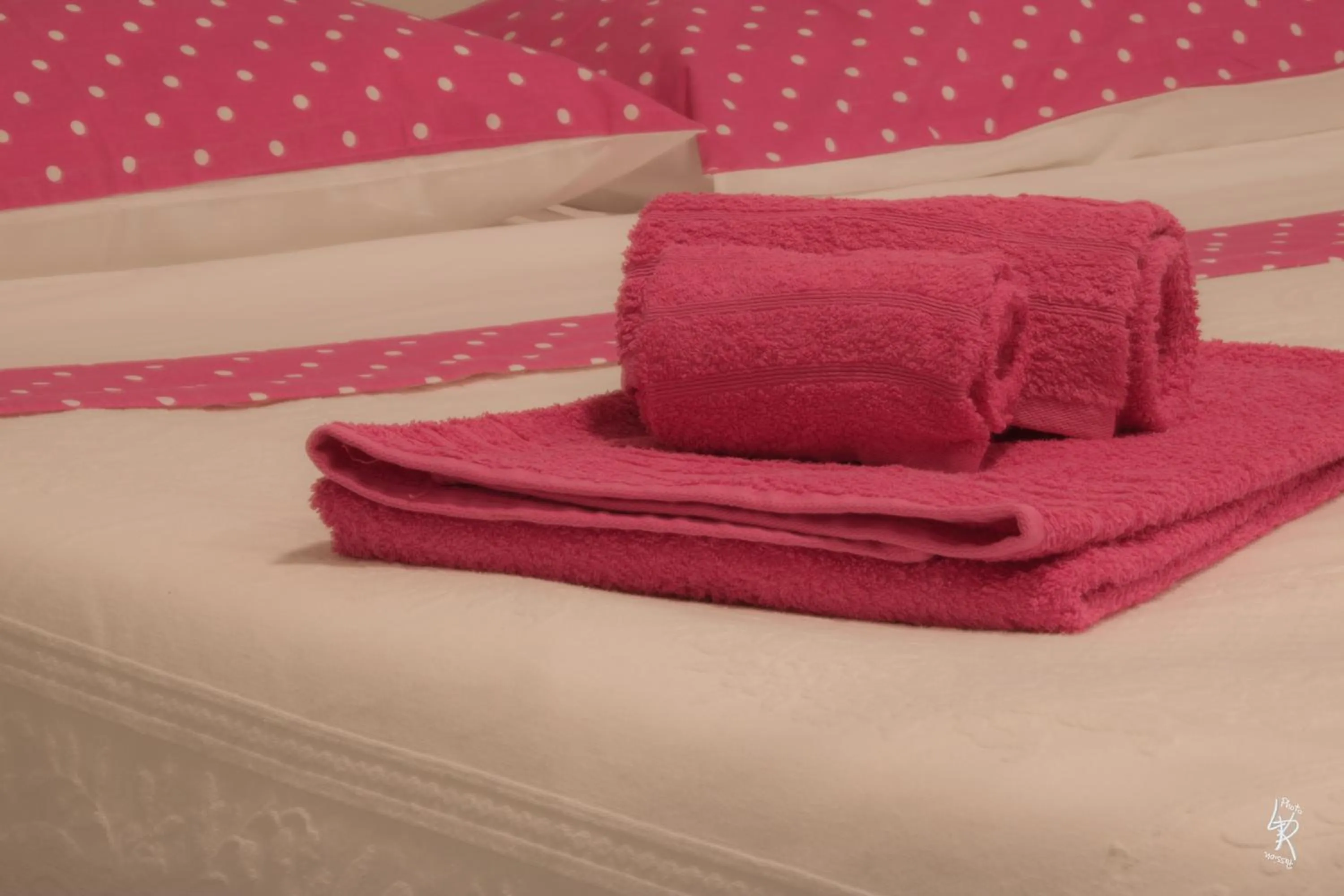 Decorative detail, Bed in B&B Mar del Plata