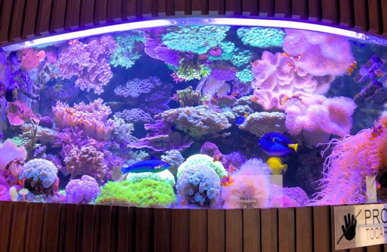 Lobby or reception in Hotel Atlântico