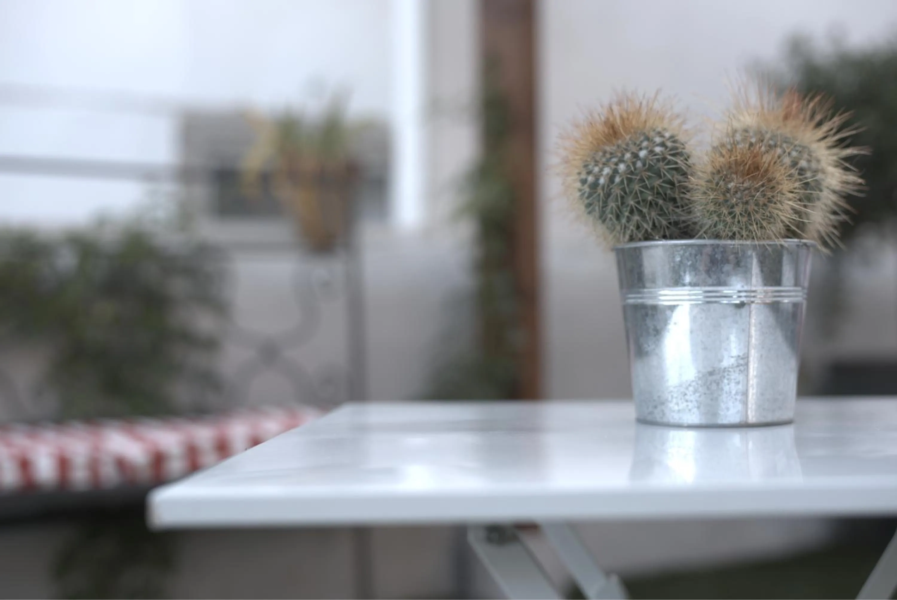 Property building in Casa com Historia