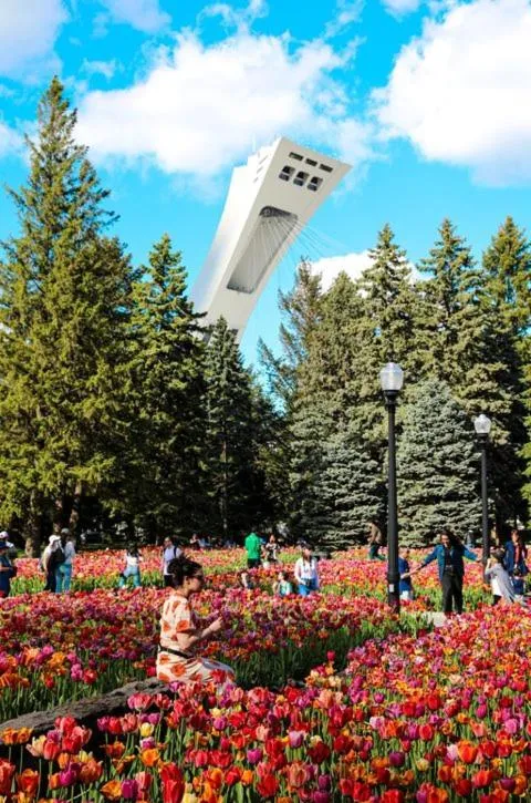 Activities in MTLVacationRentals - The City Chalet