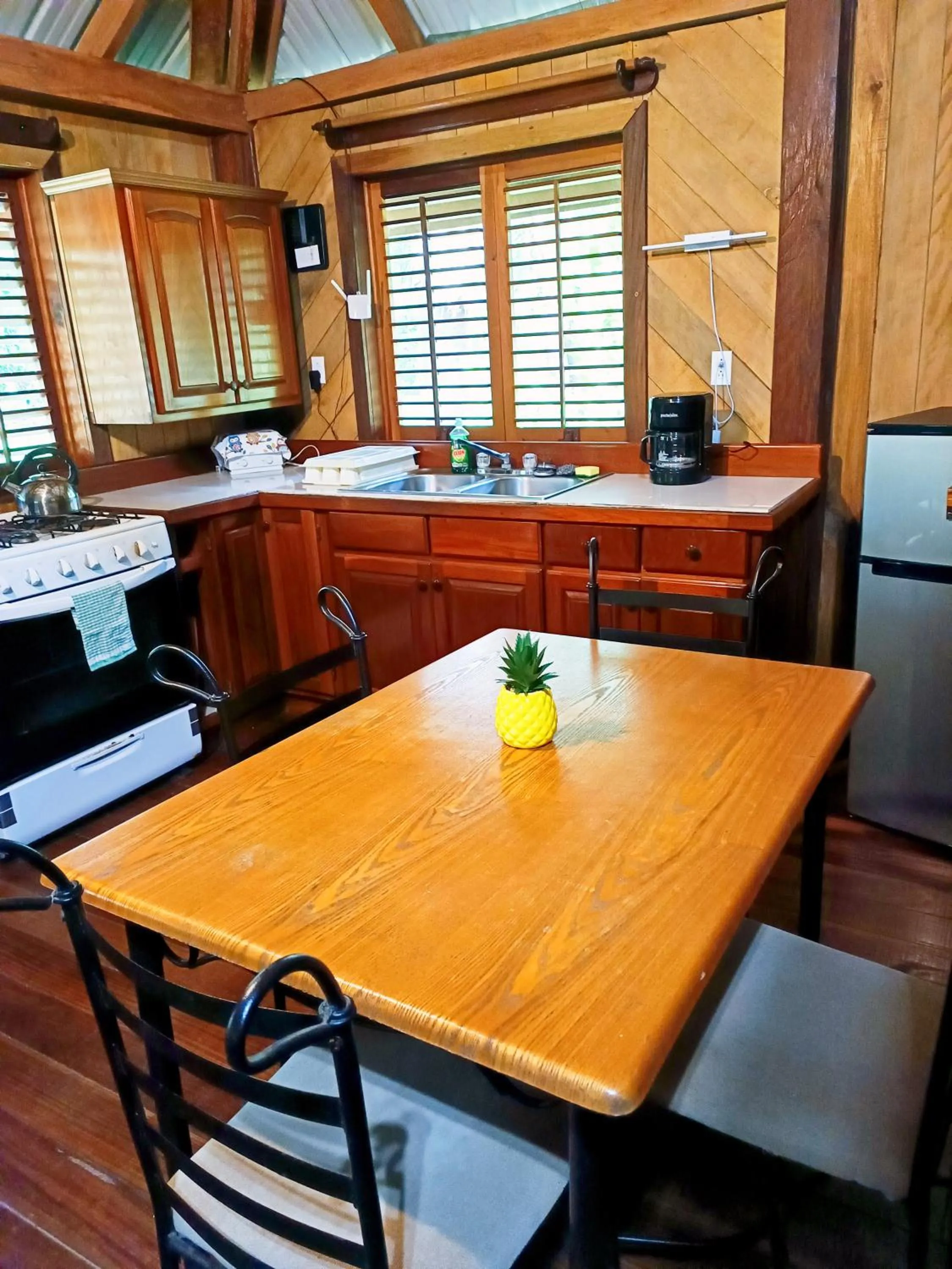 Kitchen or kitchenette in Sun Creek Lodge