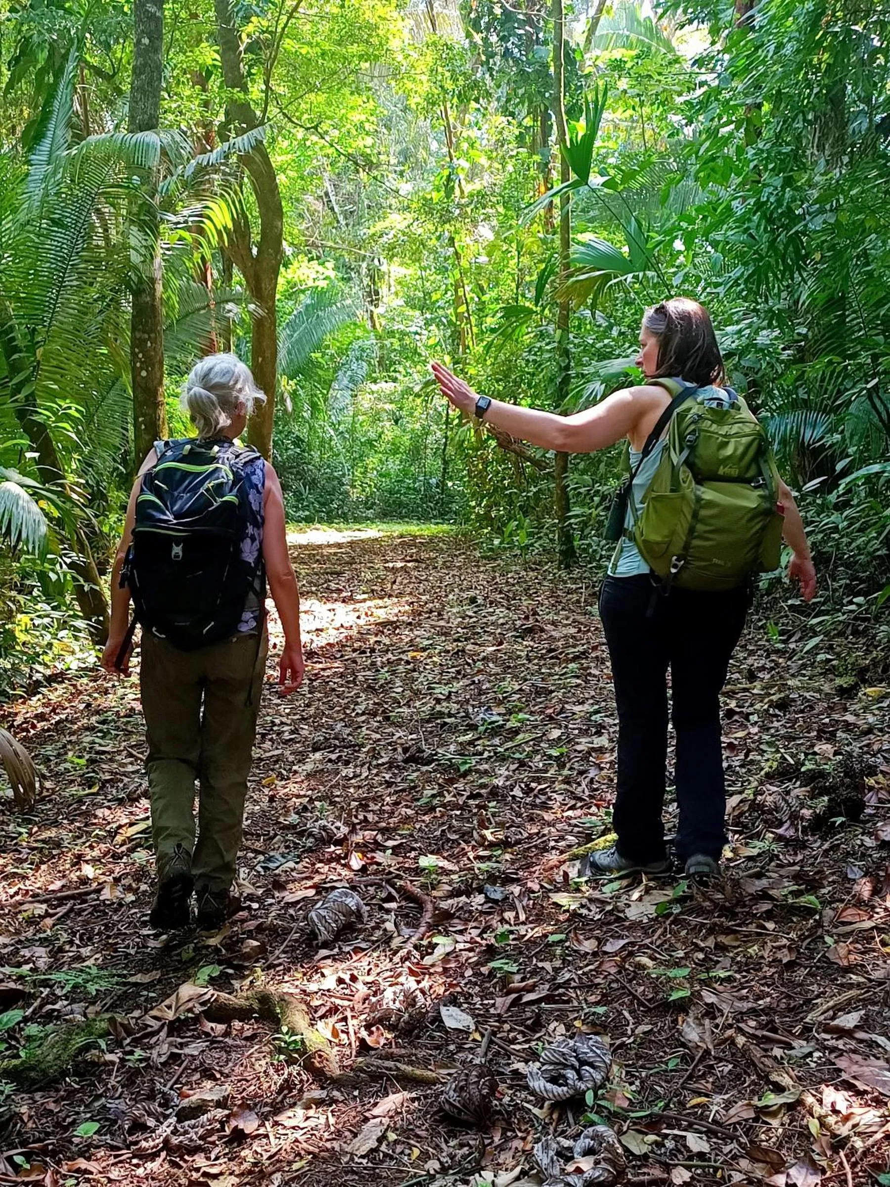 Hiking in Sun Creek Lodge