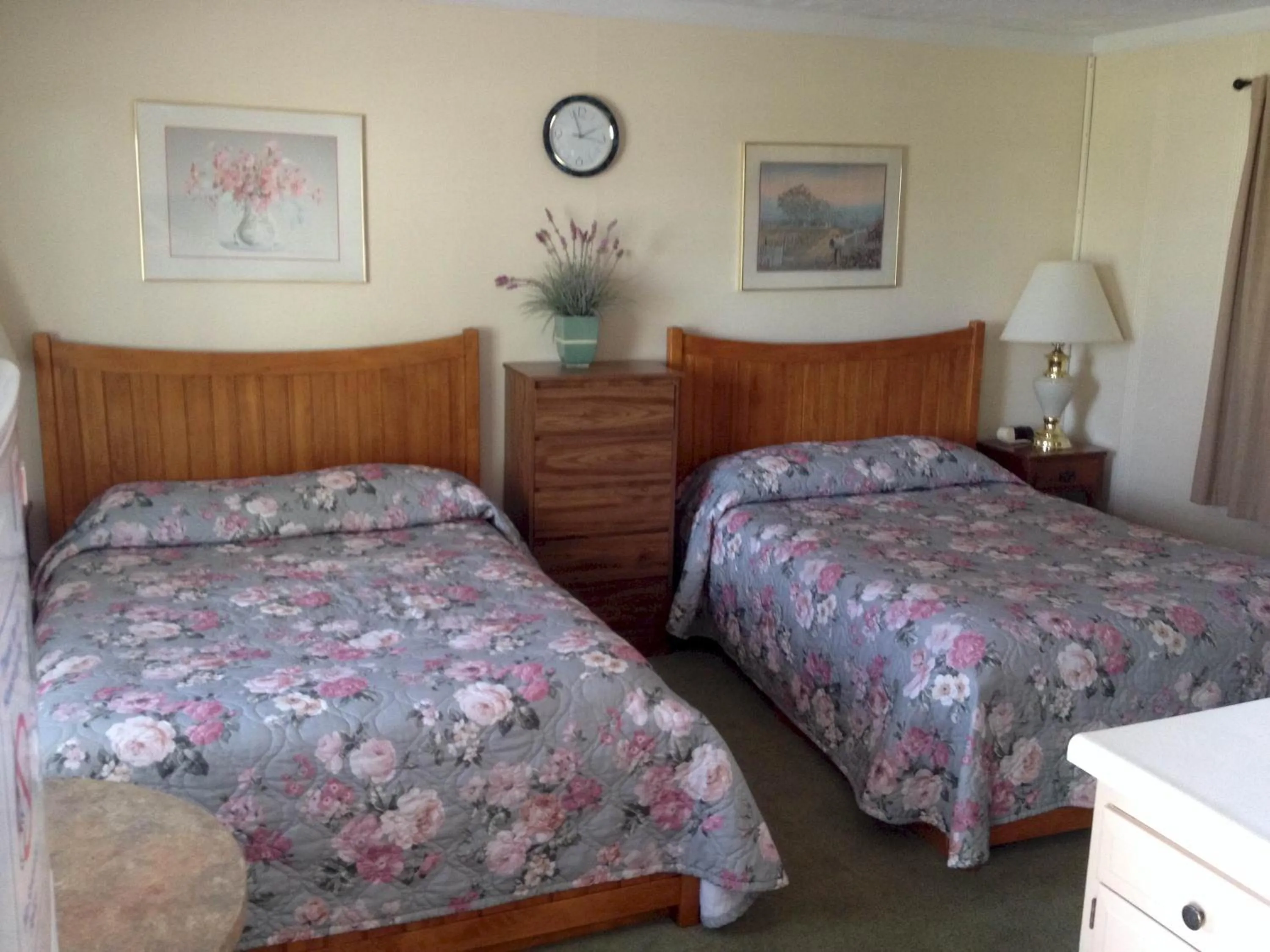 Bed in Lakeview Motel & Apartments