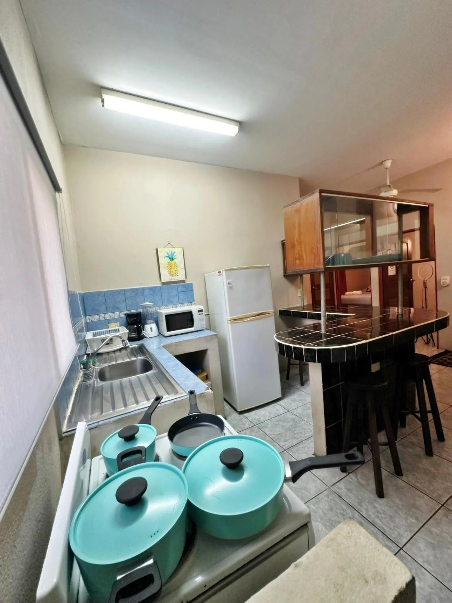 Kitchen or kitchenette in Hotel Nany