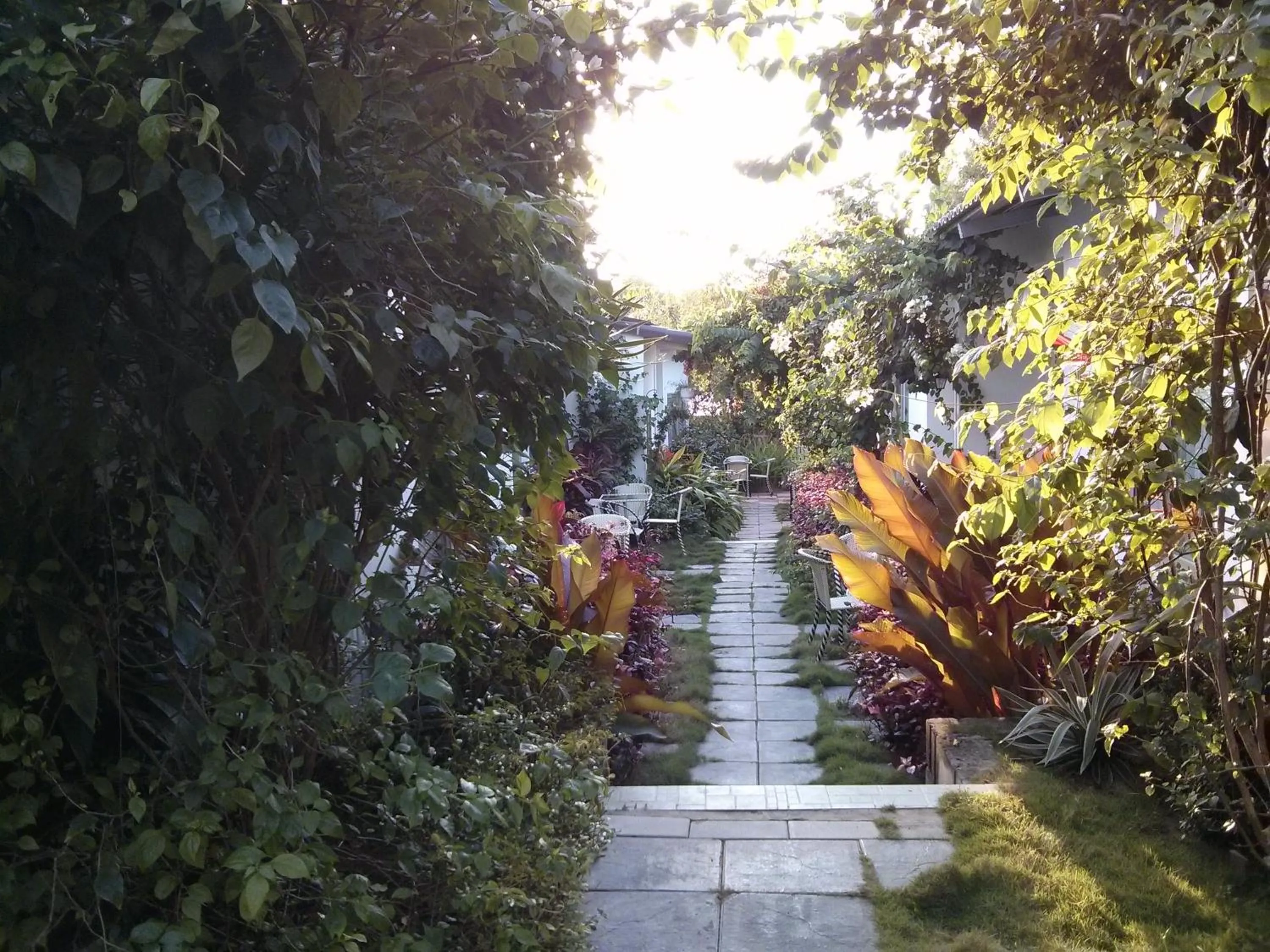 Garden view in Sunshine Bungalow