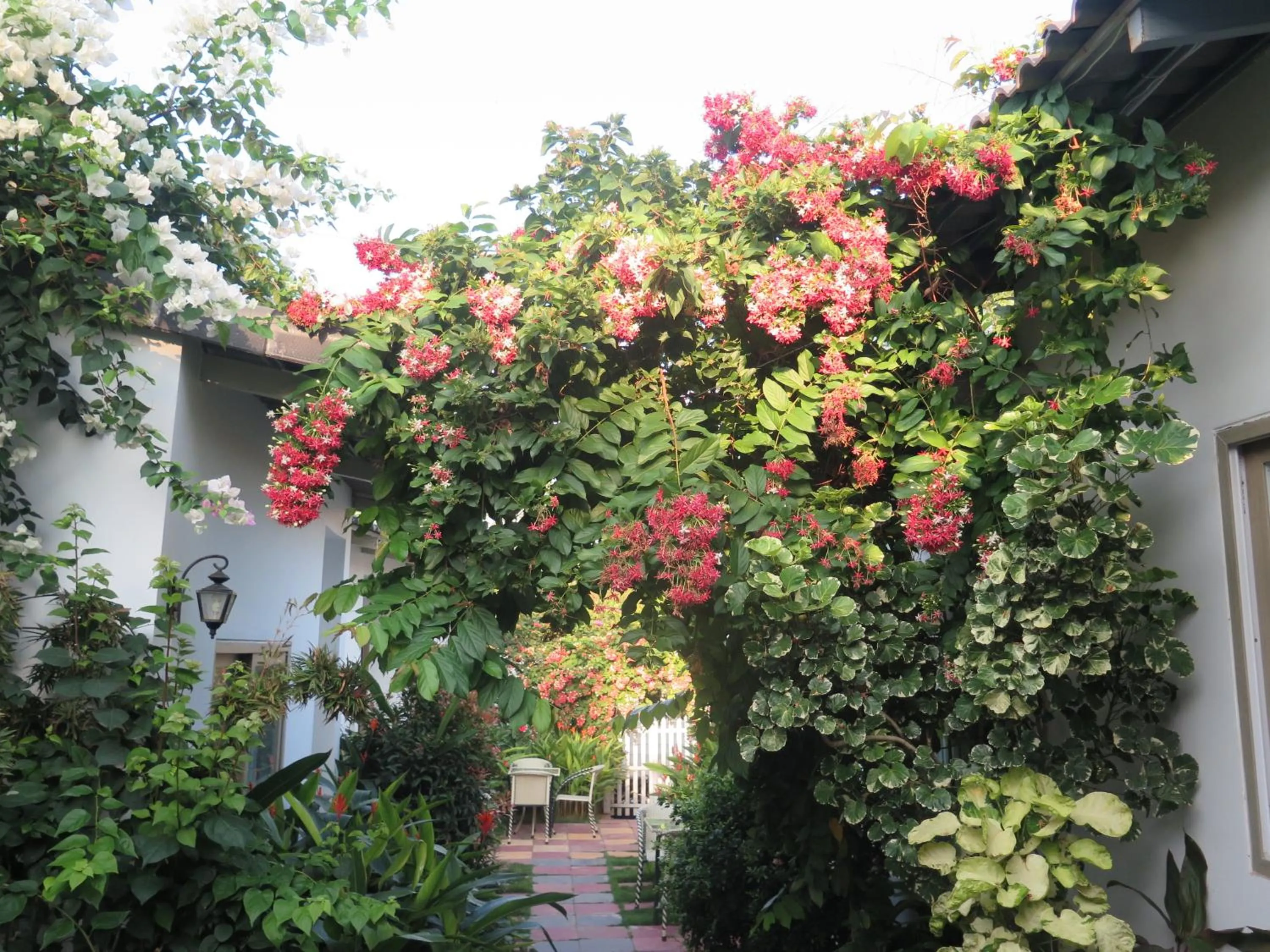Garden in Sunshine Bungalow