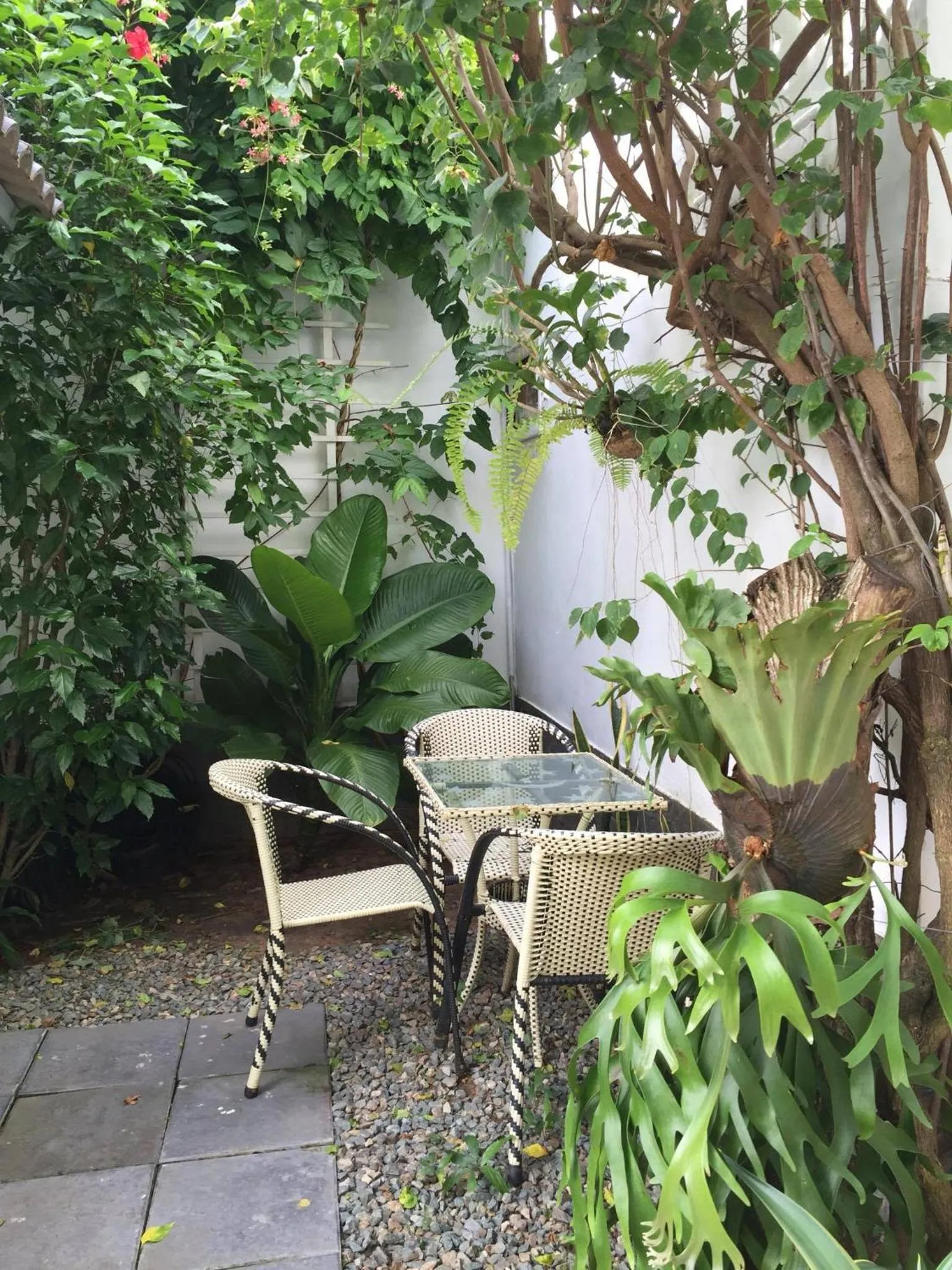 Garden in Sunshine Bungalow