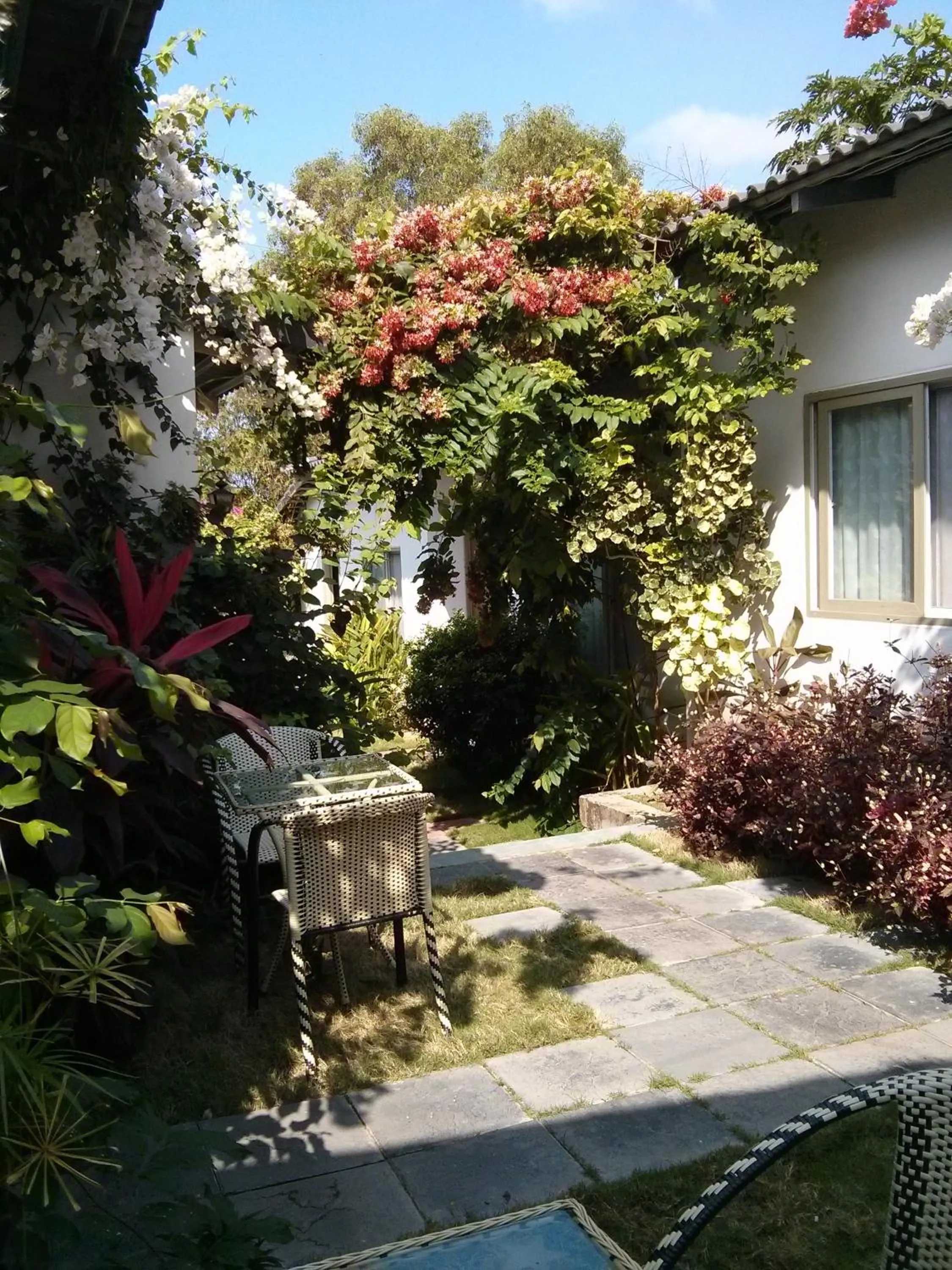 Garden view in Sunshine Bungalow