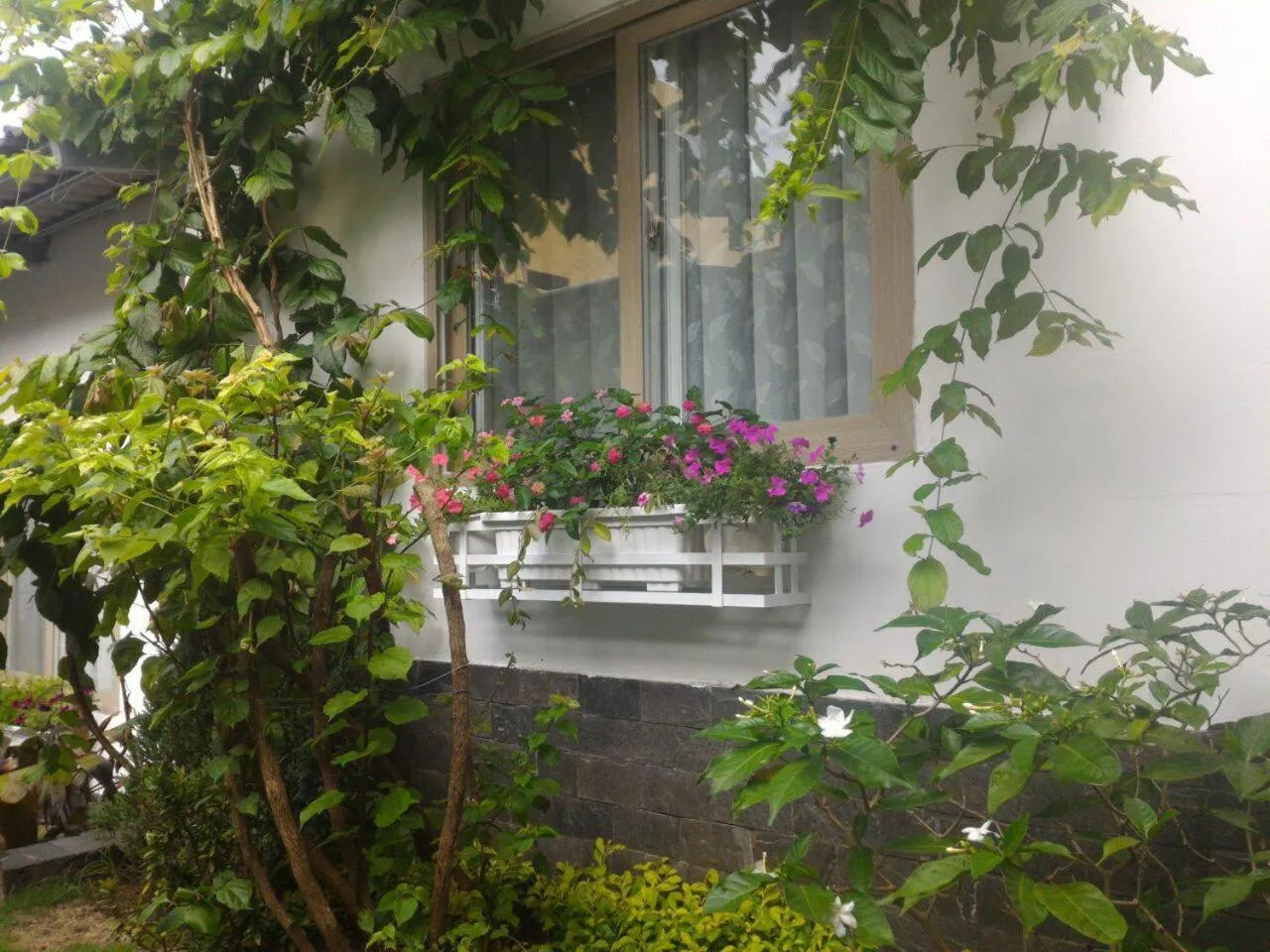 Garden view in Sunshine Bungalow