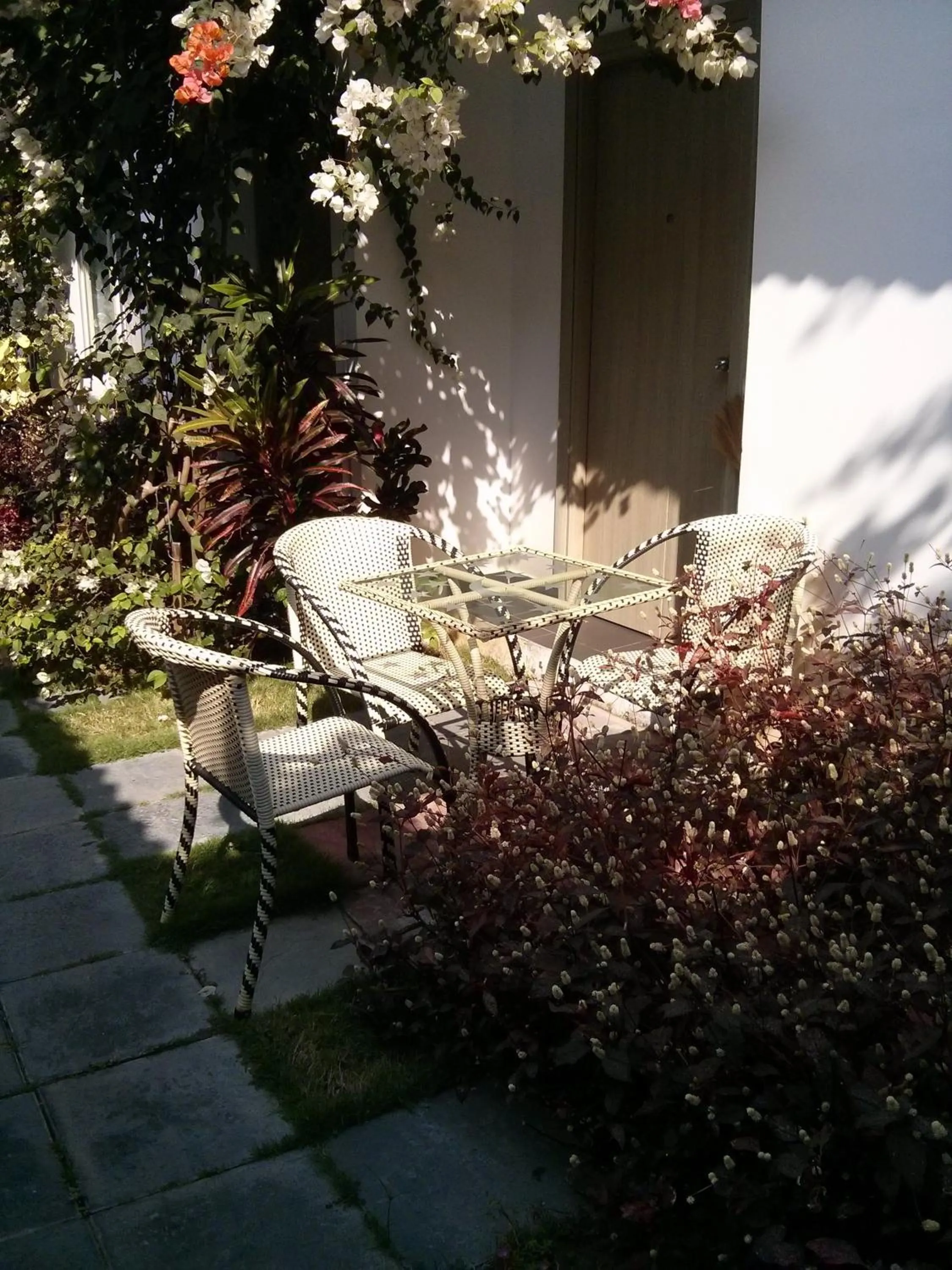 Garden view in Sunshine Bungalow