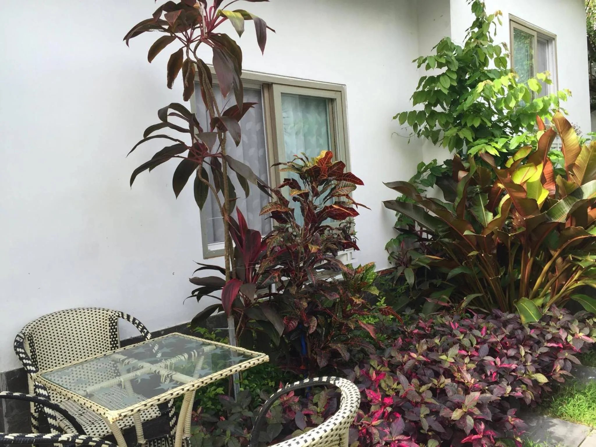 Garden in Sunshine Bungalow