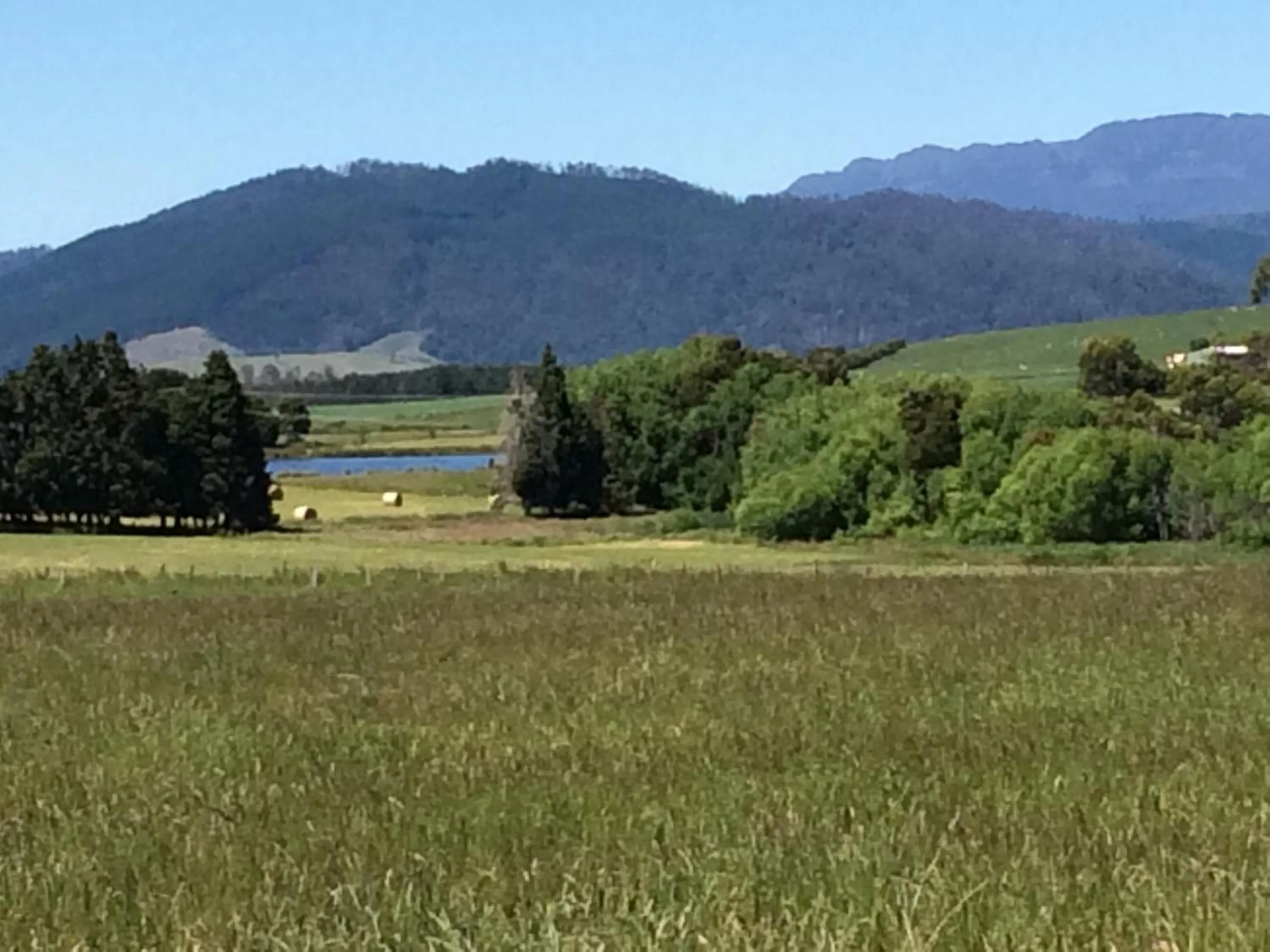 Natural landscape in Willowlodge