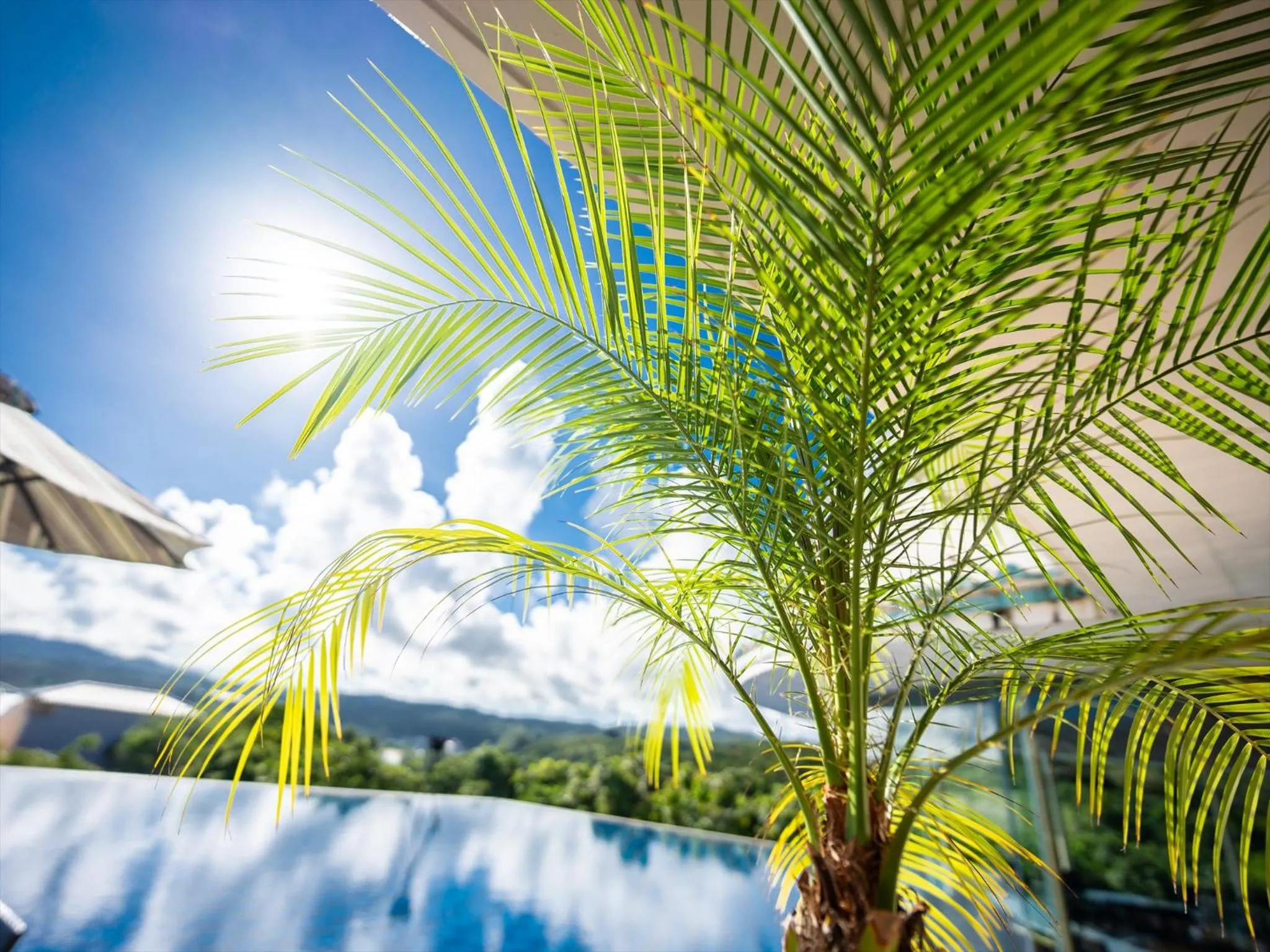 Day in Oriental Hills Okinawa