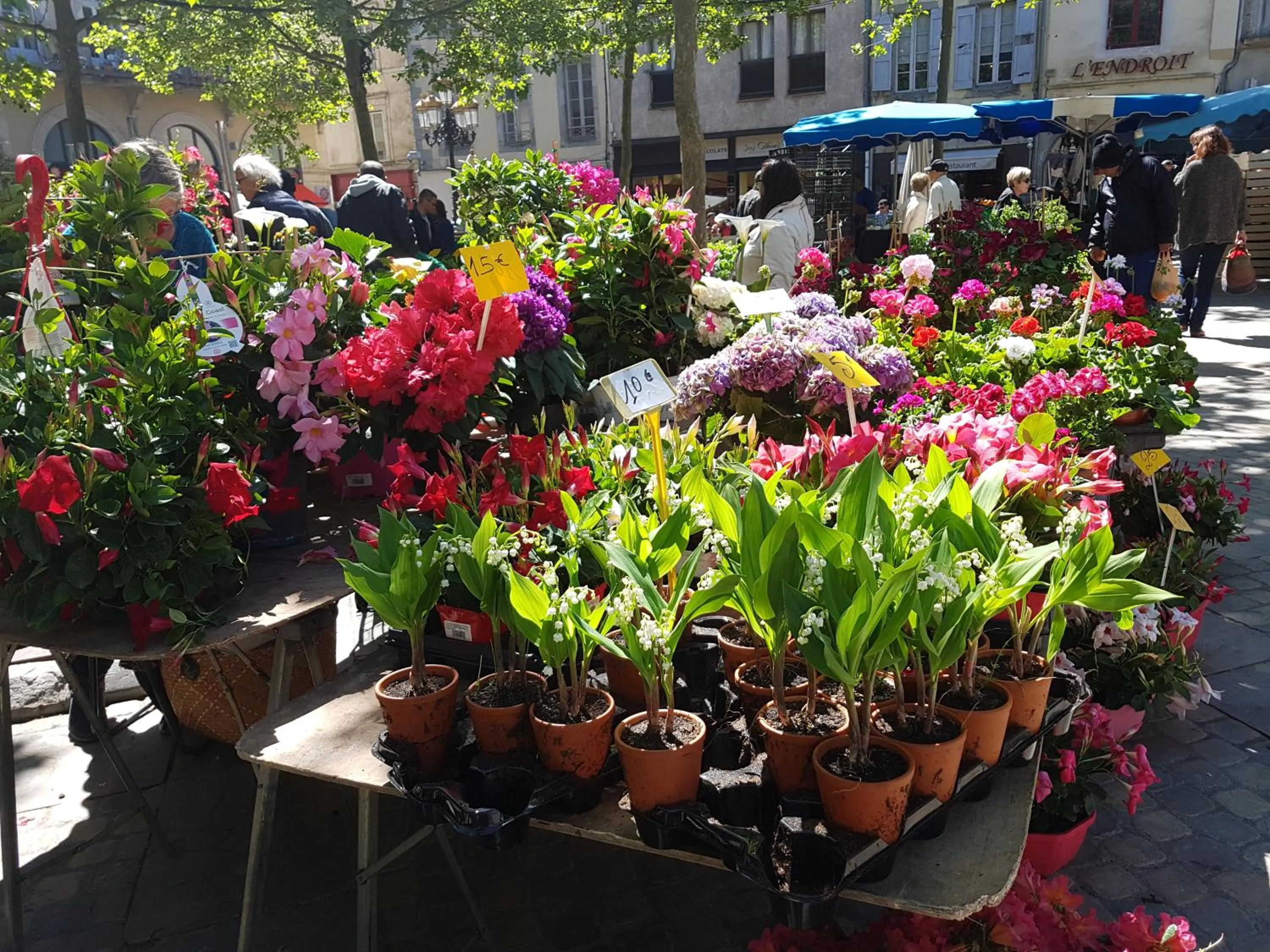 Spring in The Apartments, Rue Barbès