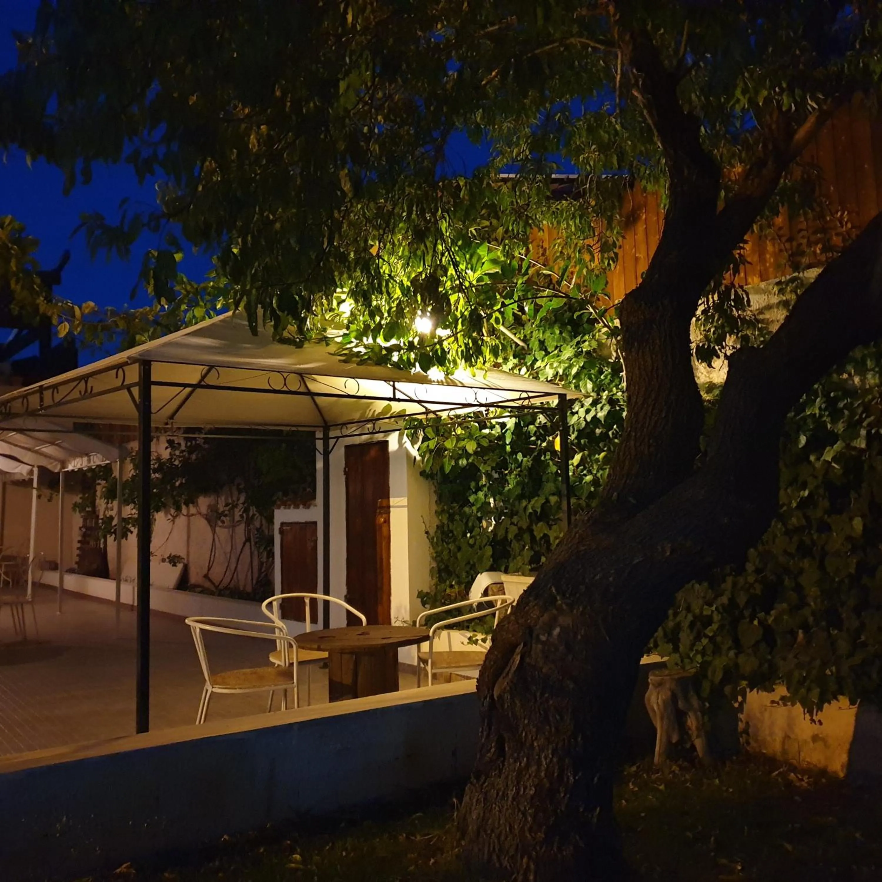 Garden view in Teodora House