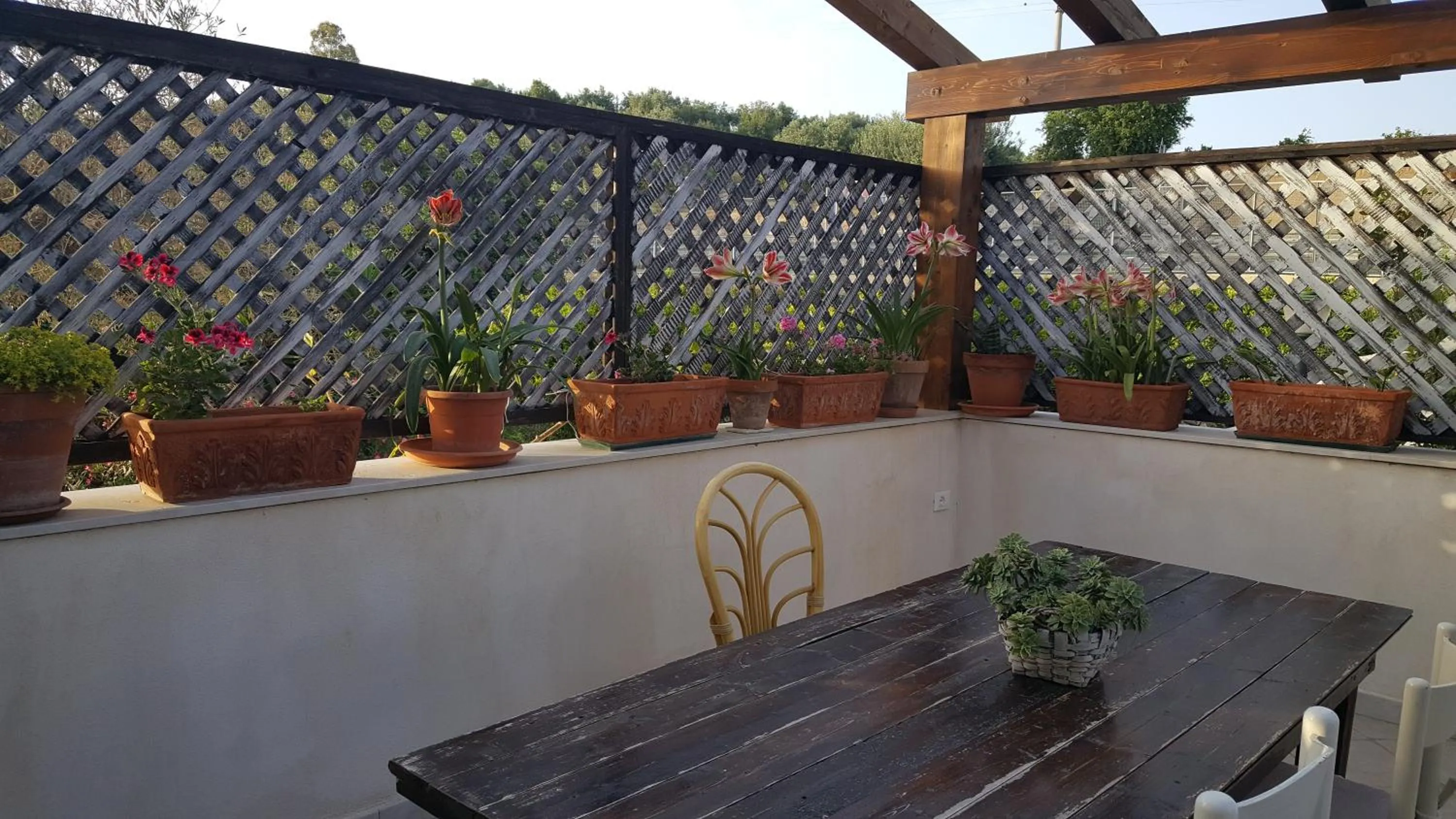 Breakfast in Teodora House