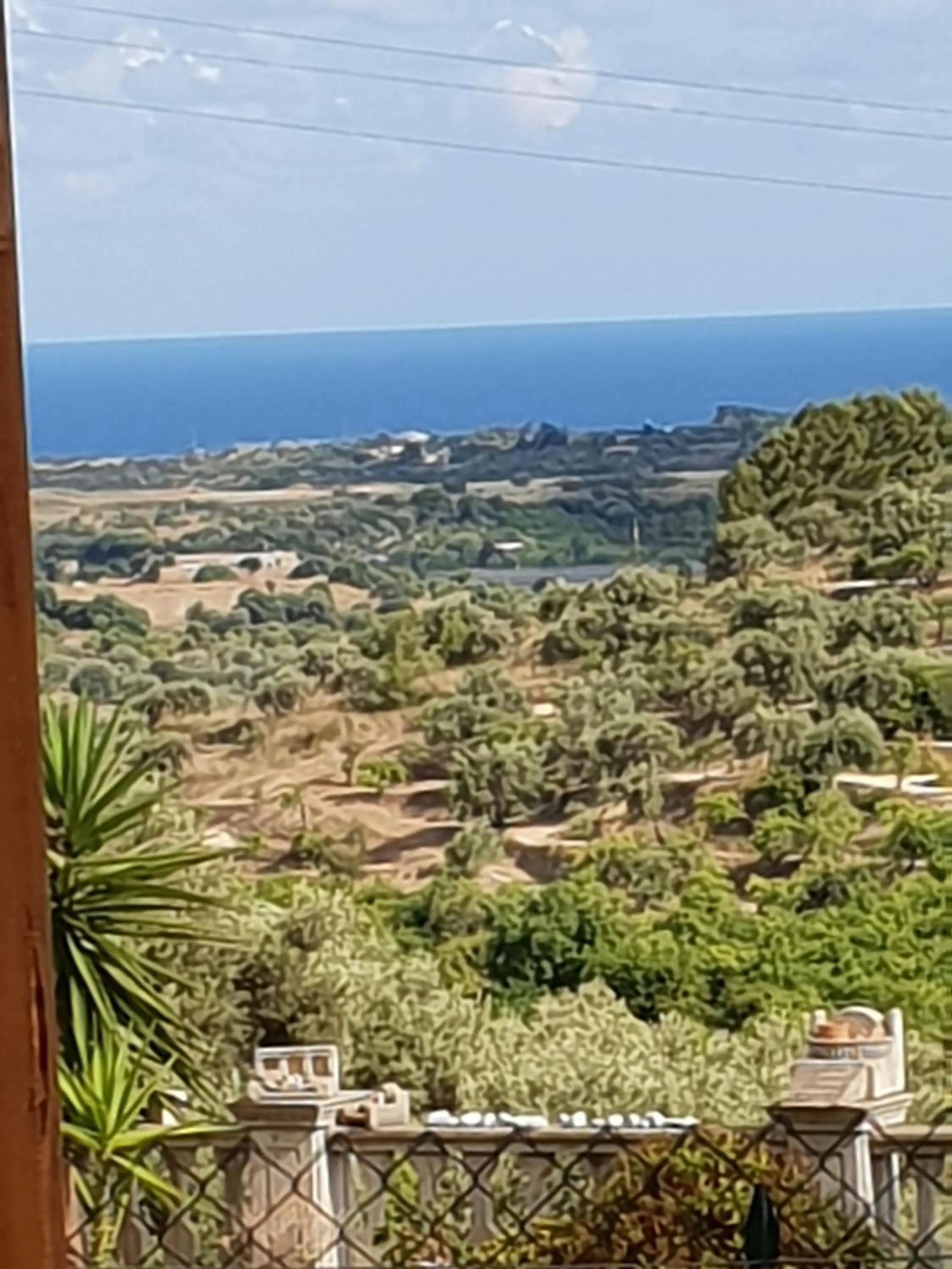 Other in Teodora House