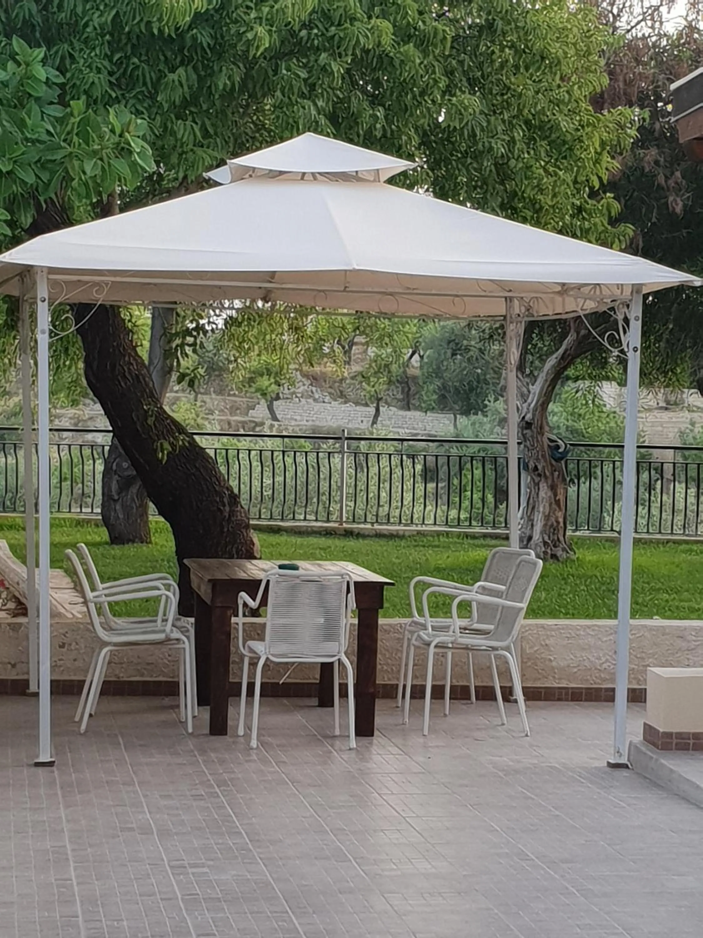 Garden in Teodora House