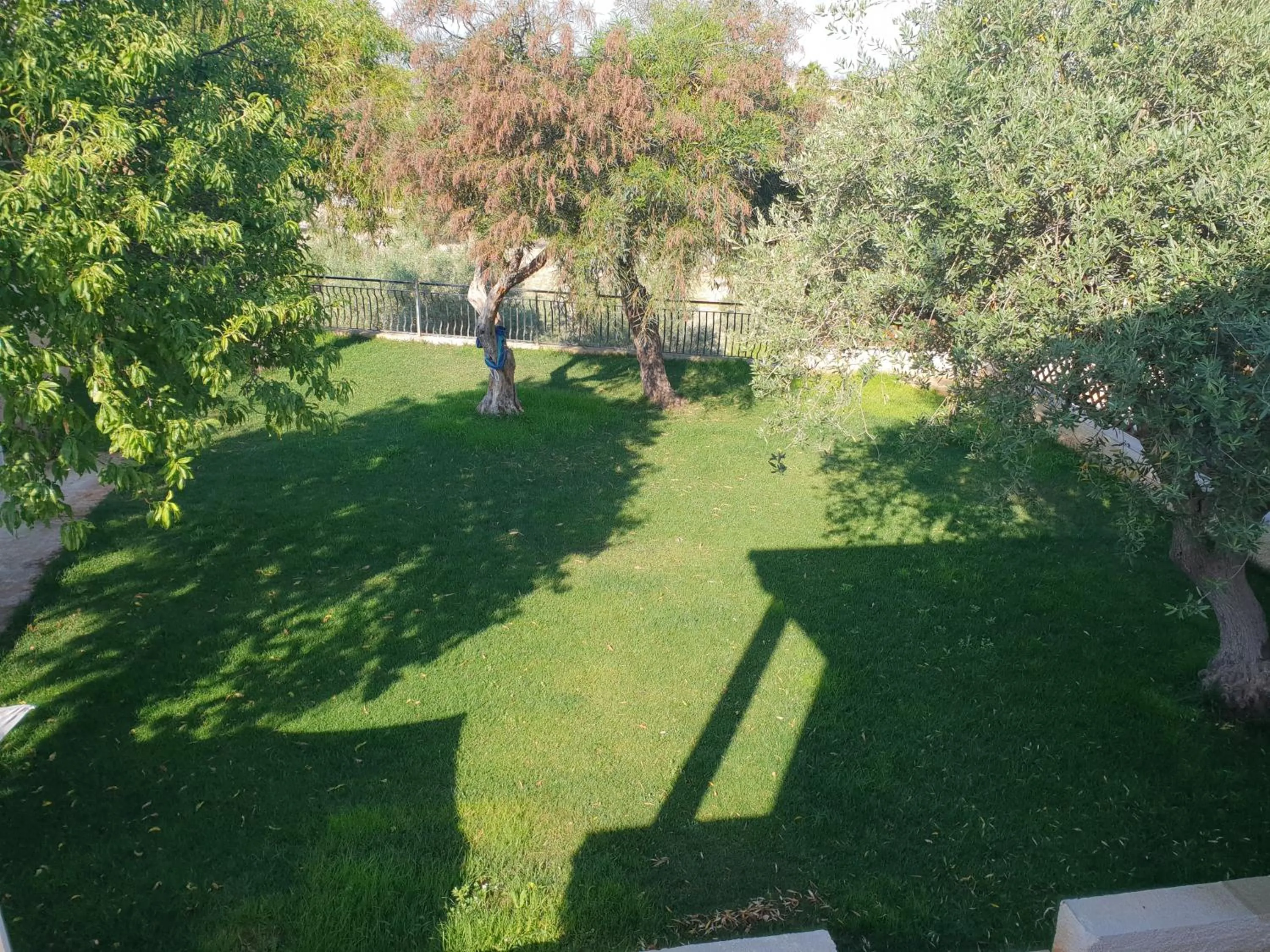 View (from property/room) in Teodora House