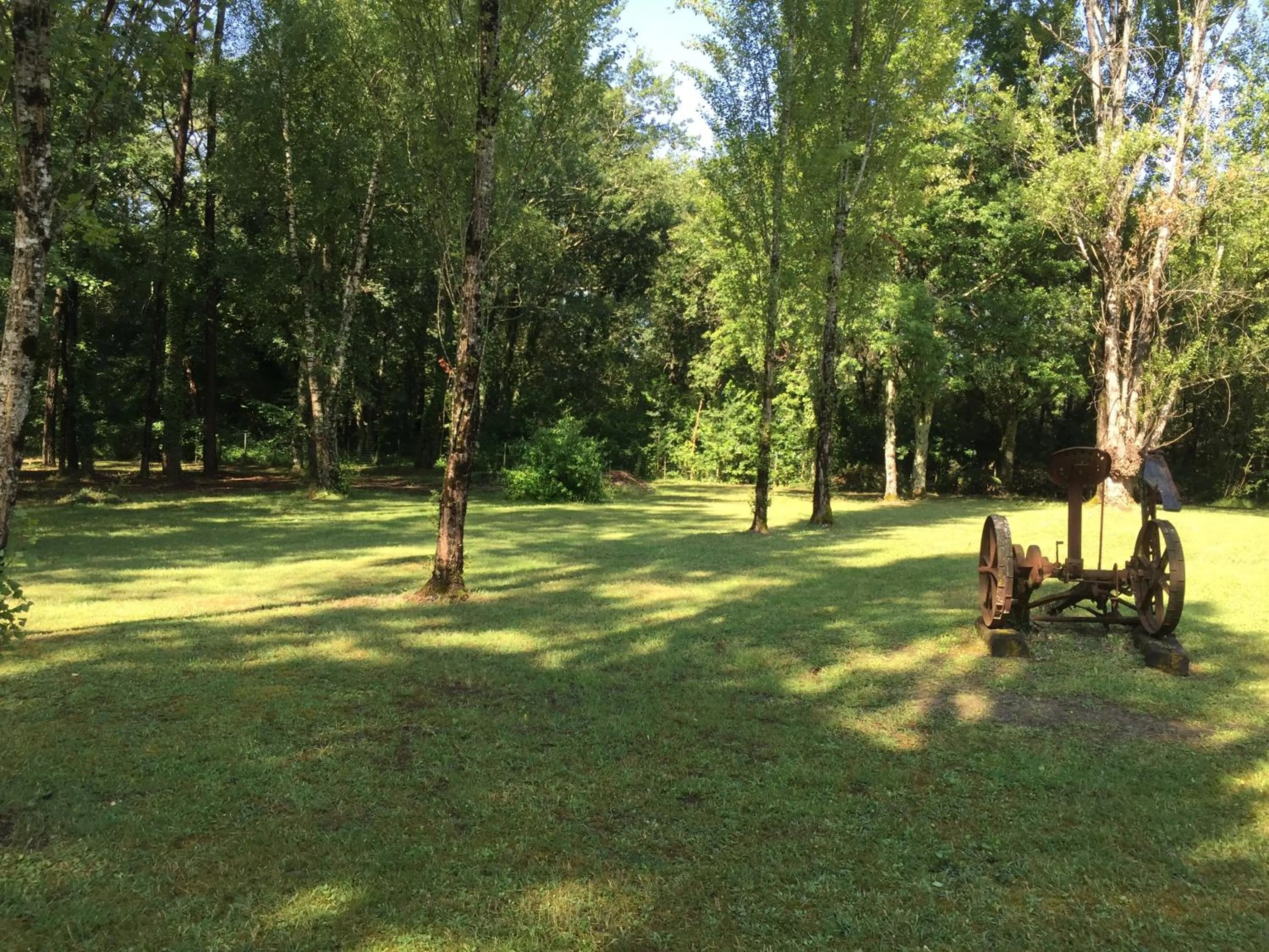 Garden in Les Pins Perdus