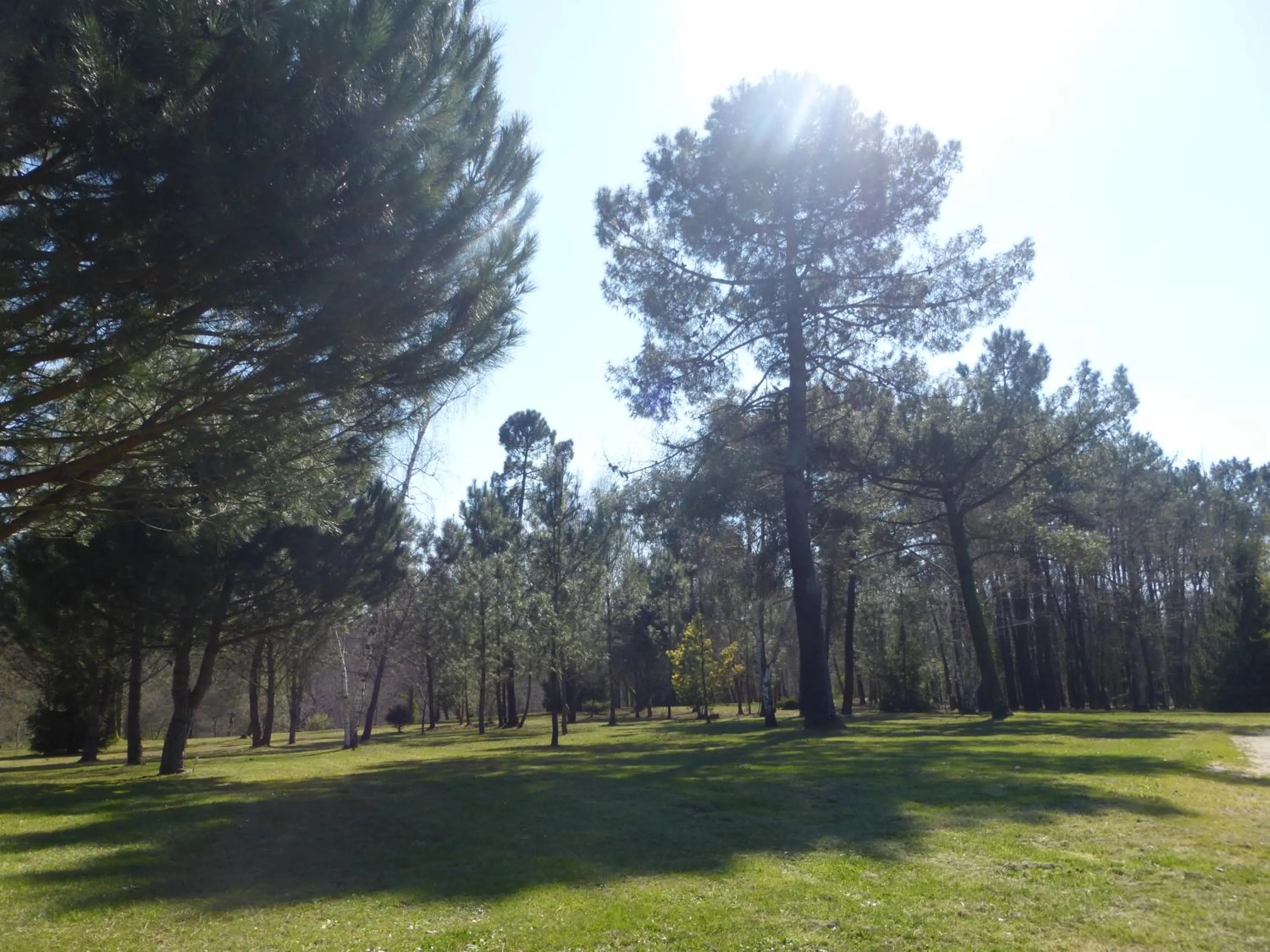 Cycling in Les Pins Perdus