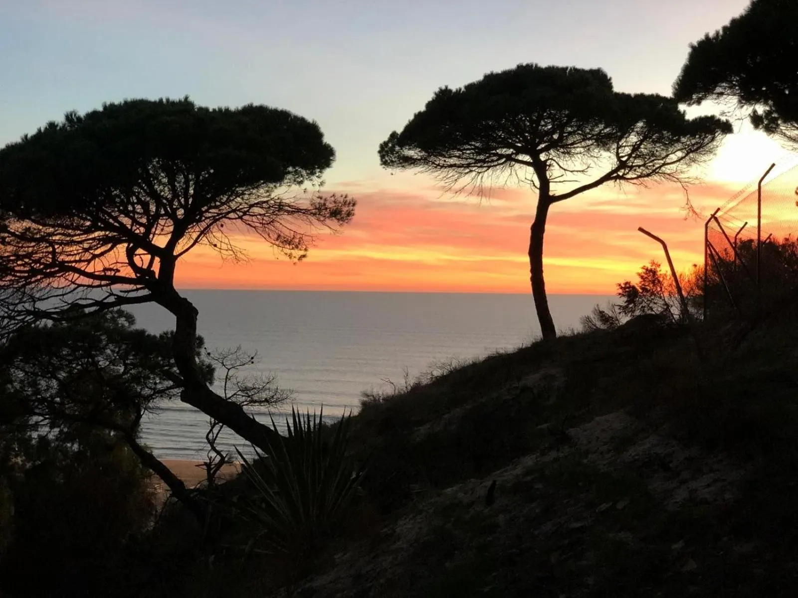 Swimming pool in Parador de Mazagón