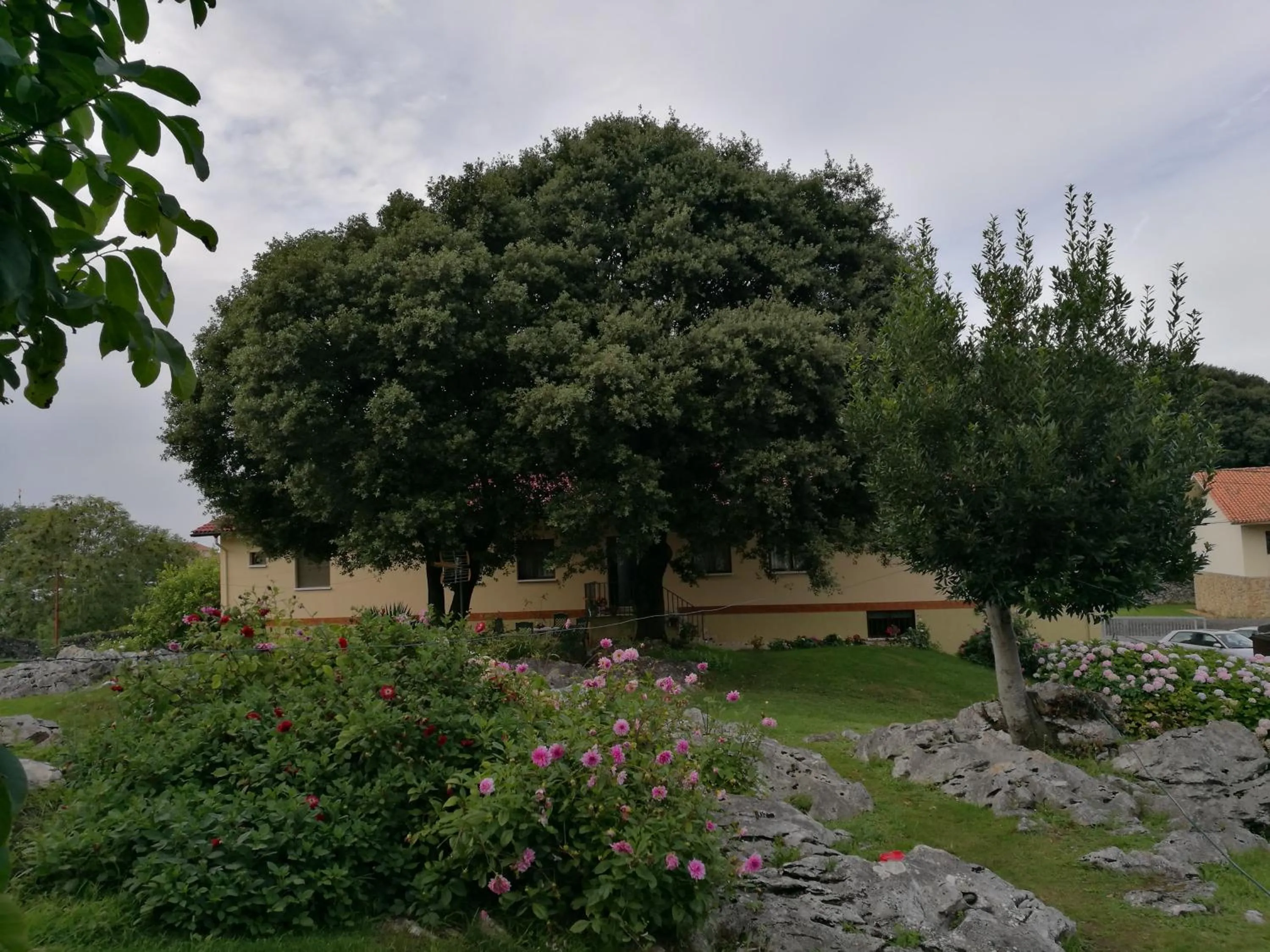 Hotel La Encina Celorio Llanes PARKING