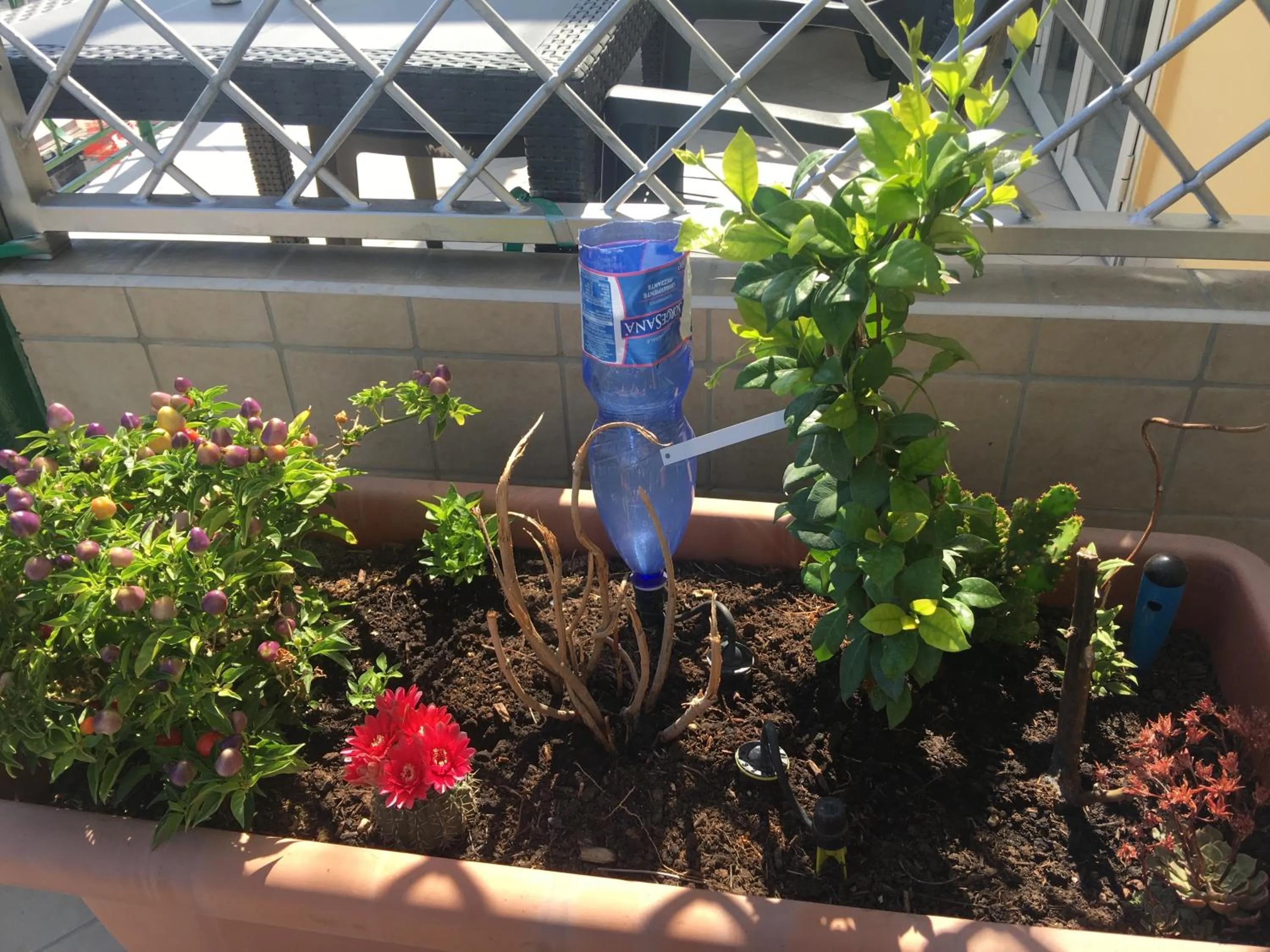 Property building in Top Floor Rentrooms Napoli