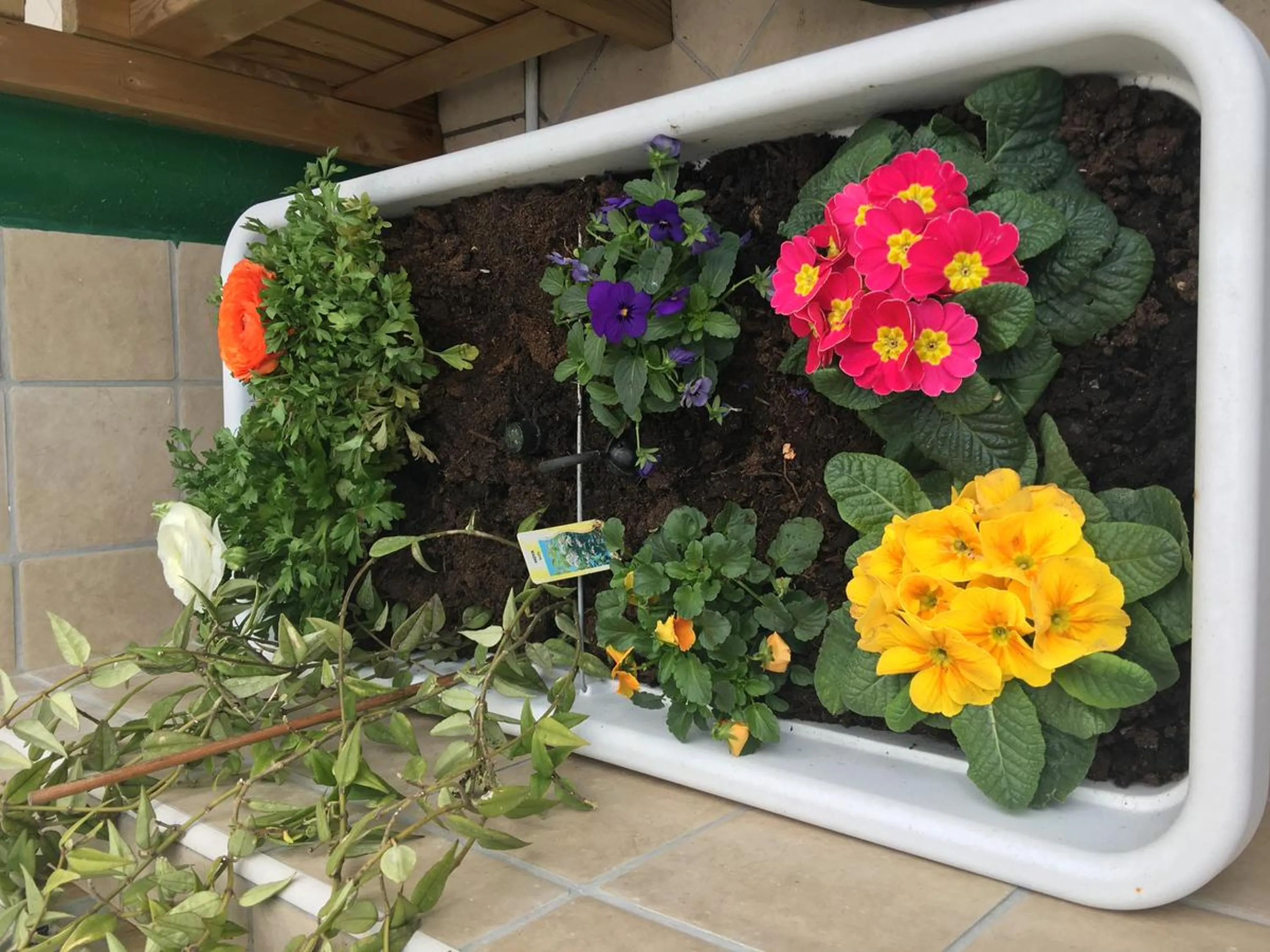 Patio in Top Floor Rentrooms Napoli