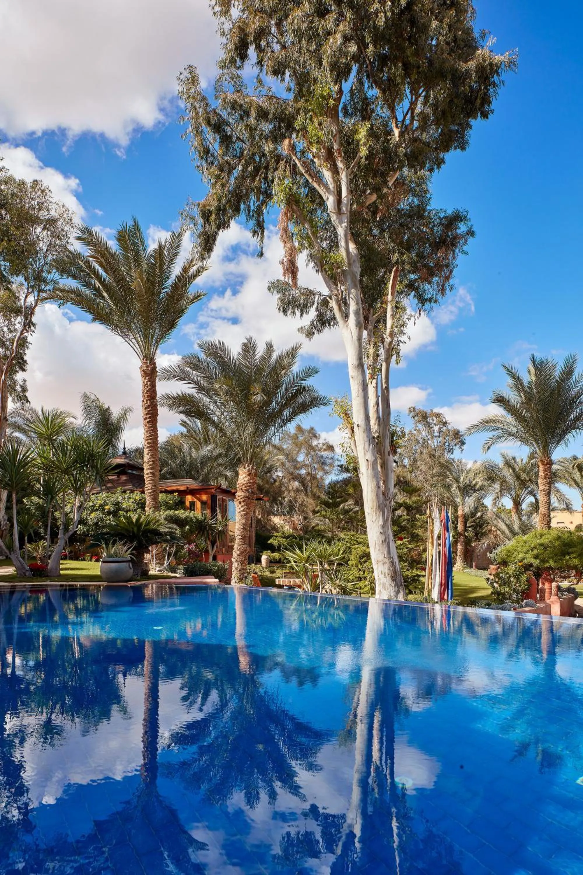 Swimming pool in Lazib Inn Resort & Spa