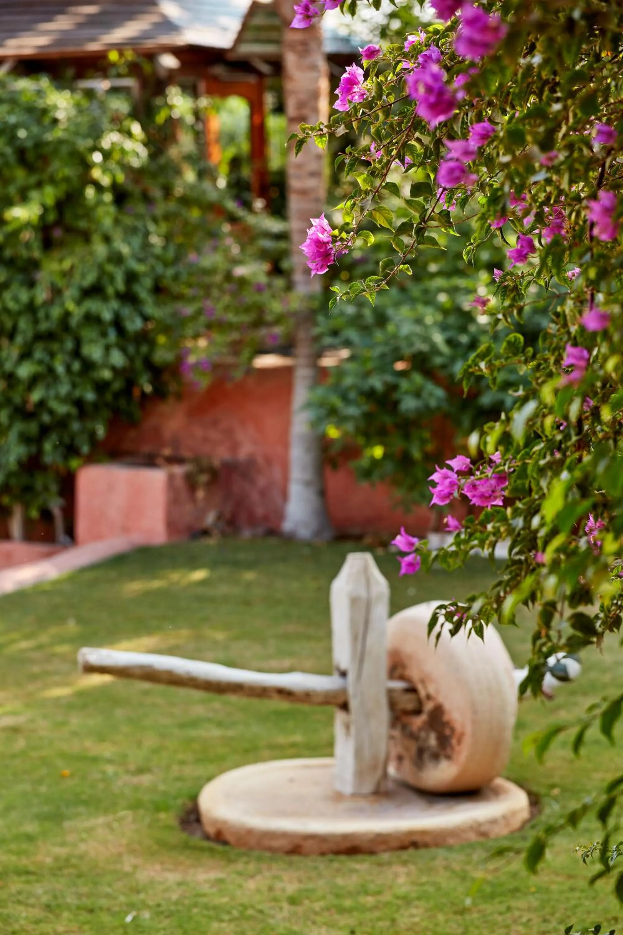 Garden in Lazib Inn Resort & Spa