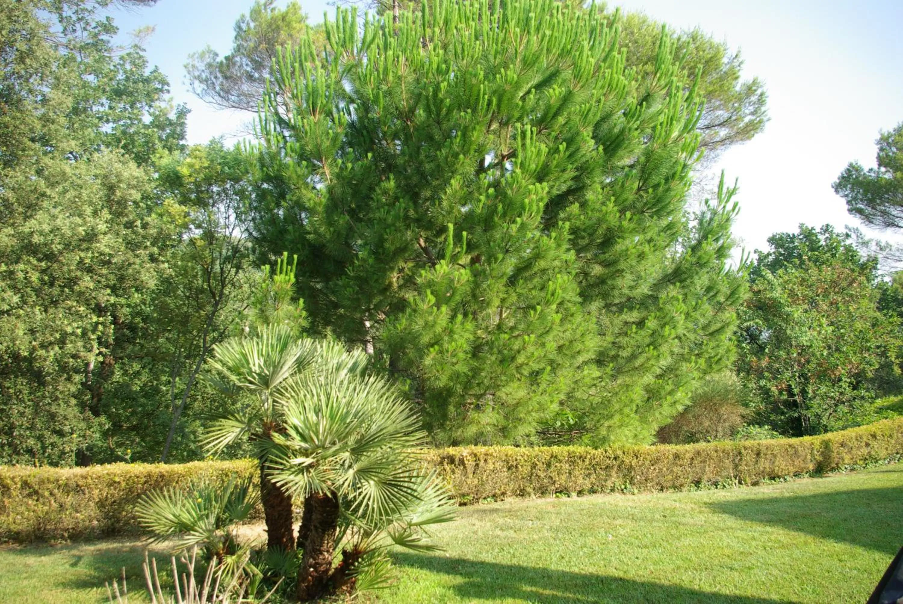 Garden in Domaine Les Cigales