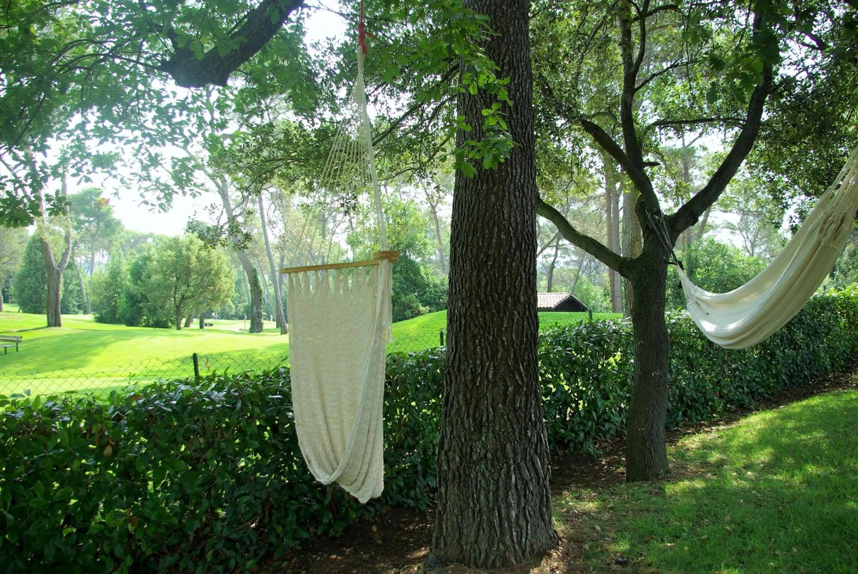 Golfcourse in Domaine Les Cigales