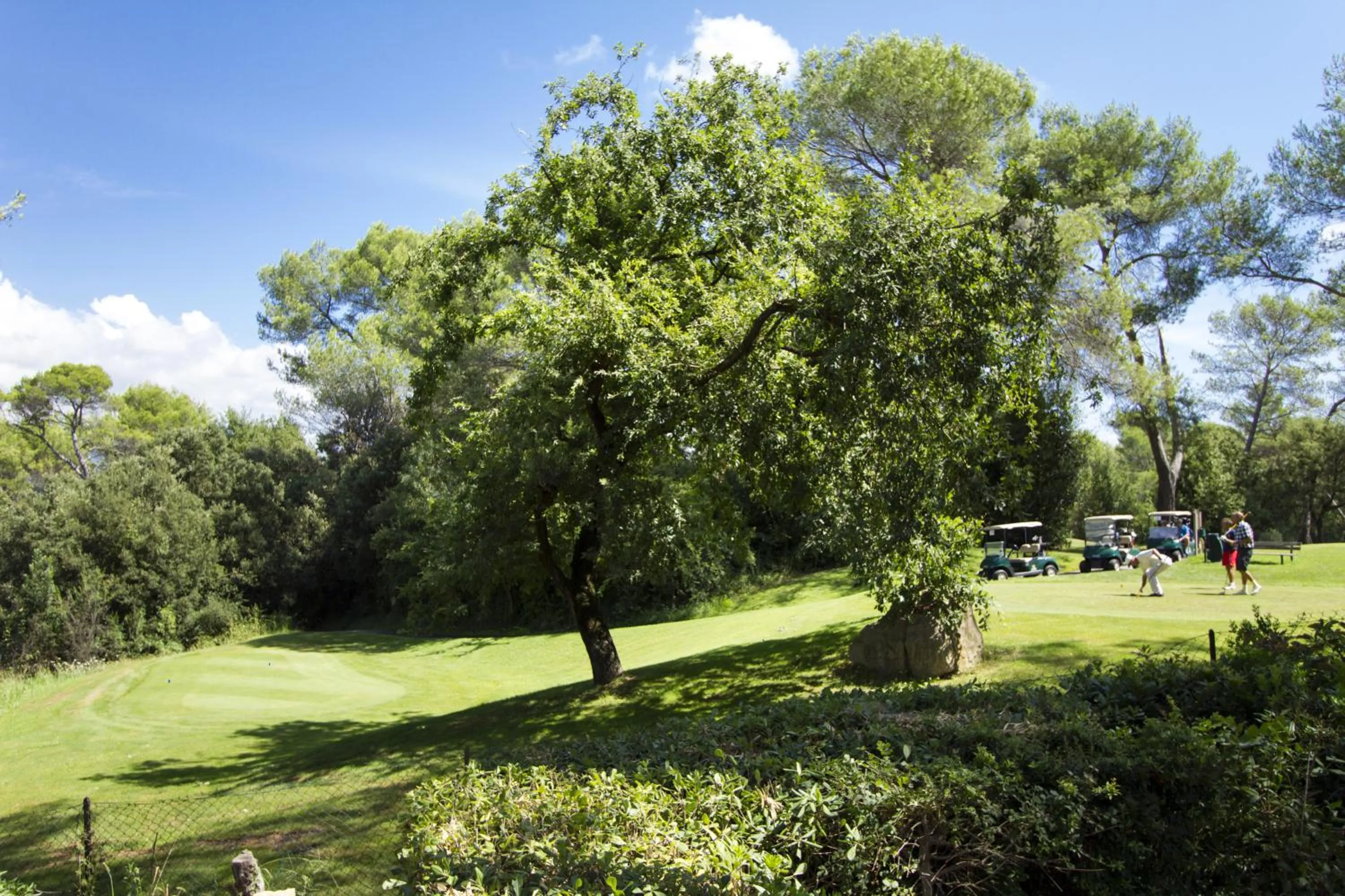 Golfcourse in Domaine Les Cigales
