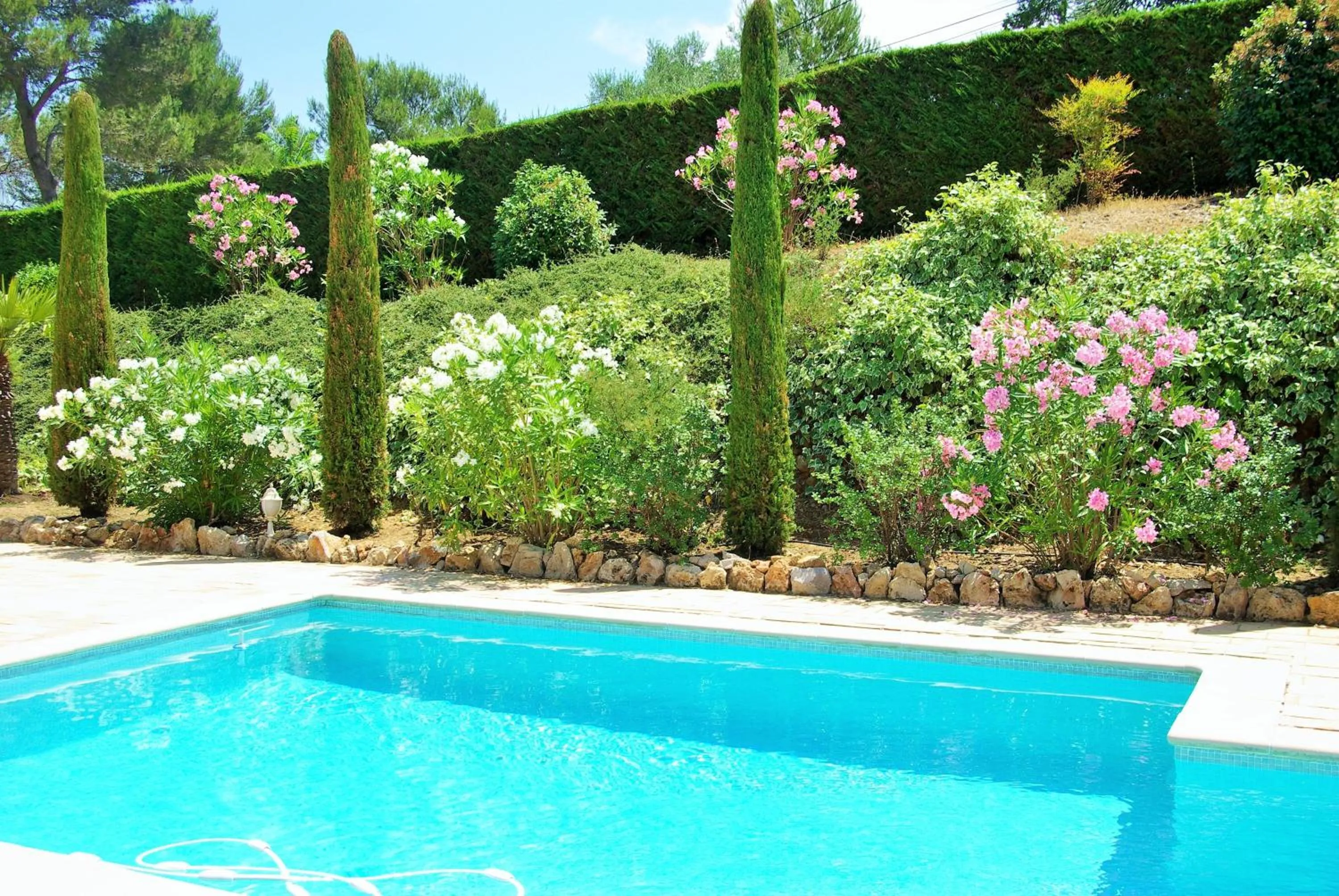 Swimming pool in Domaine Les Cigales