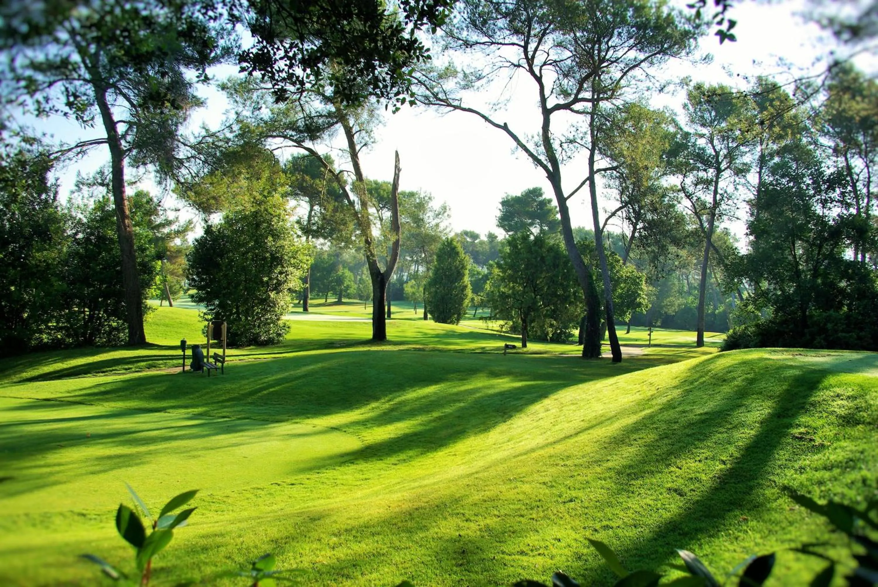 Activities in Domaine Les Cigales