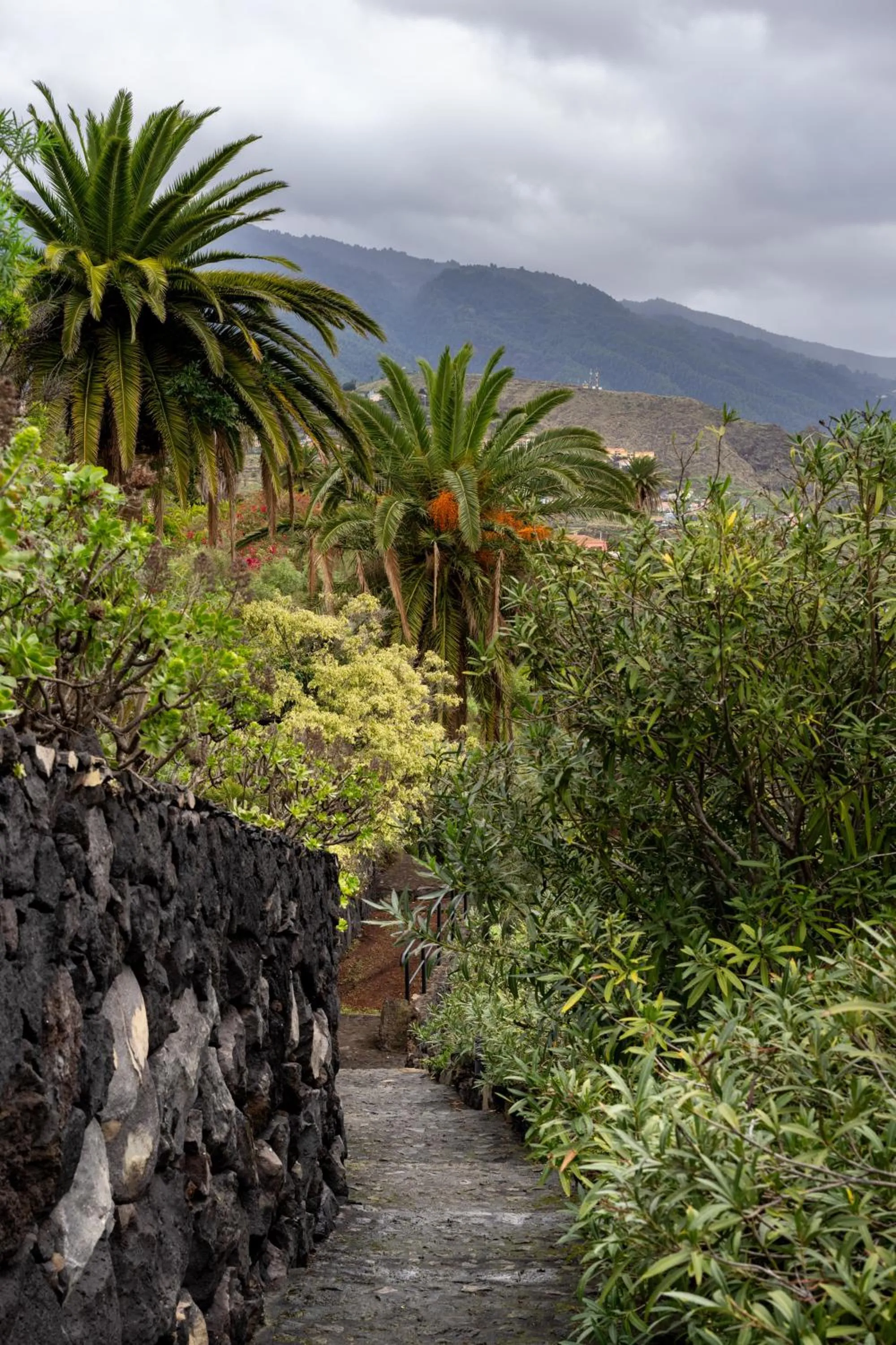 Garden in Parador de La Palma