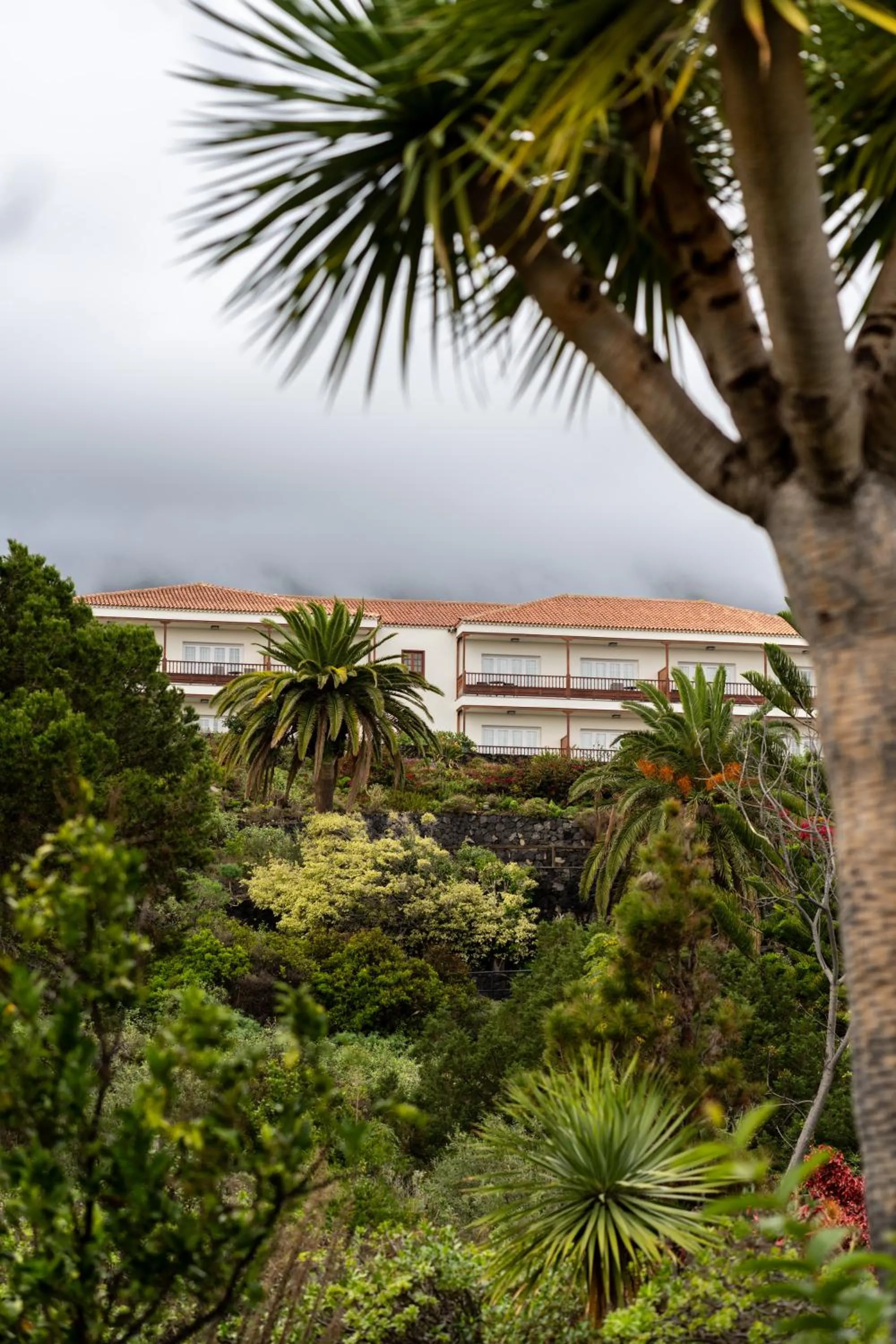 Garden in Parador de La Palma