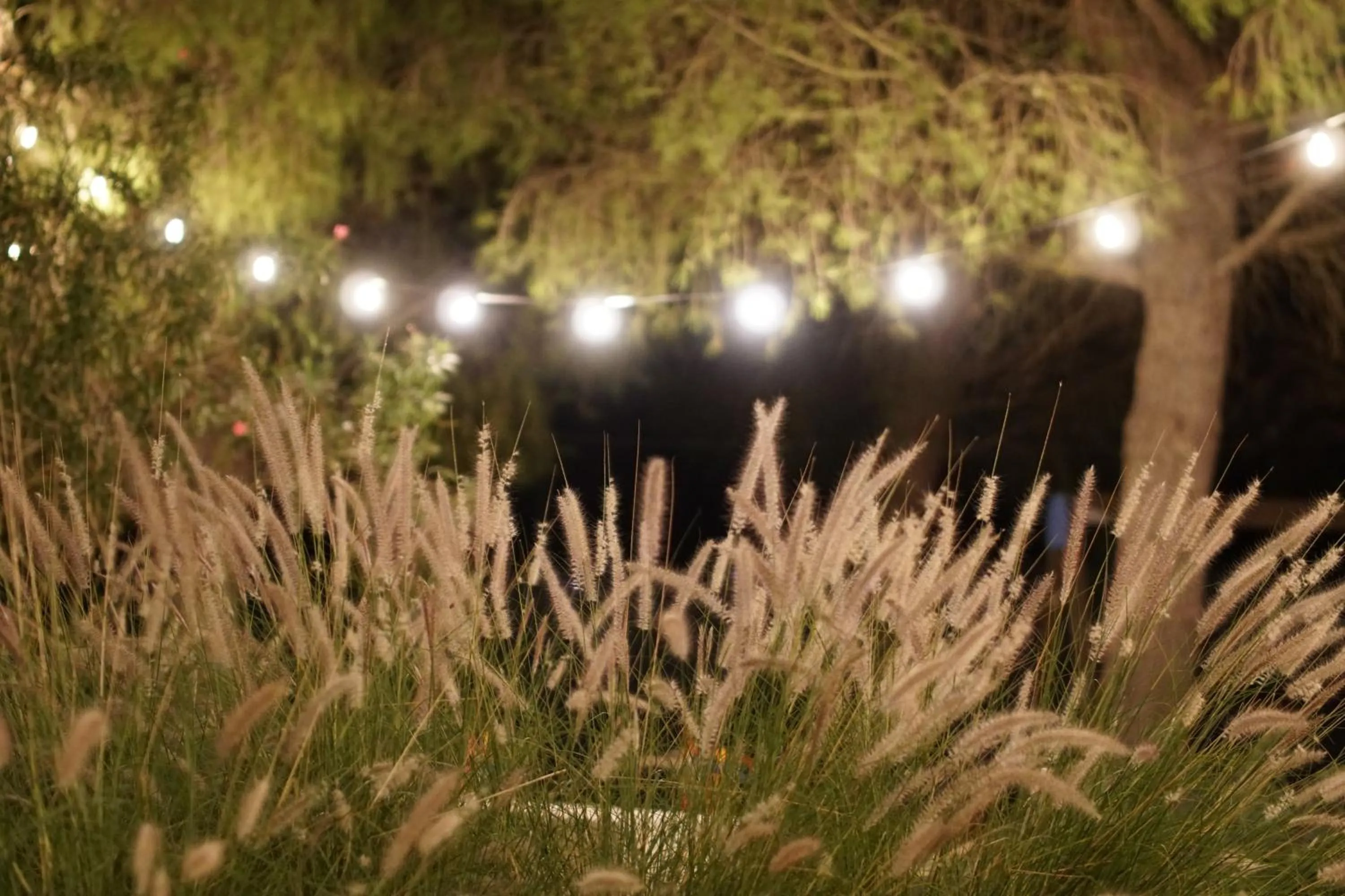 Hotel Garden Salento