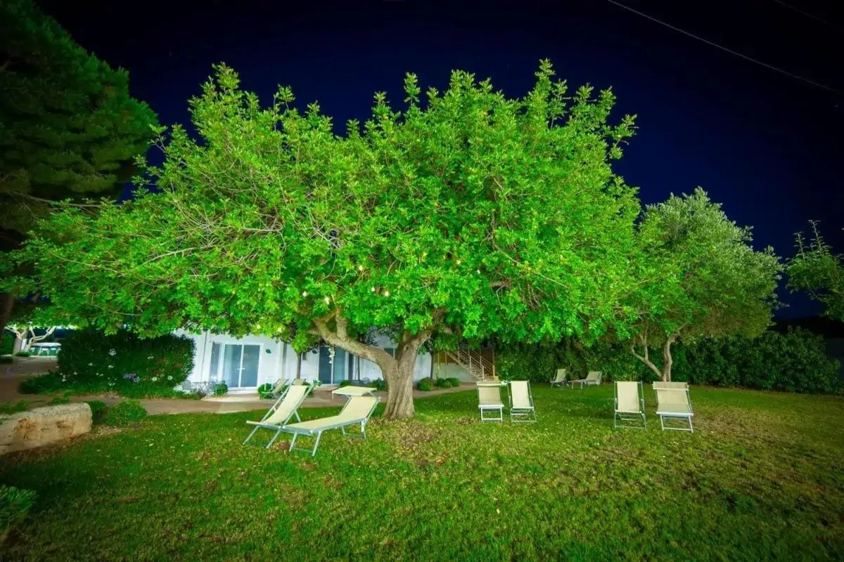 Garden in Hotel Garden Salento