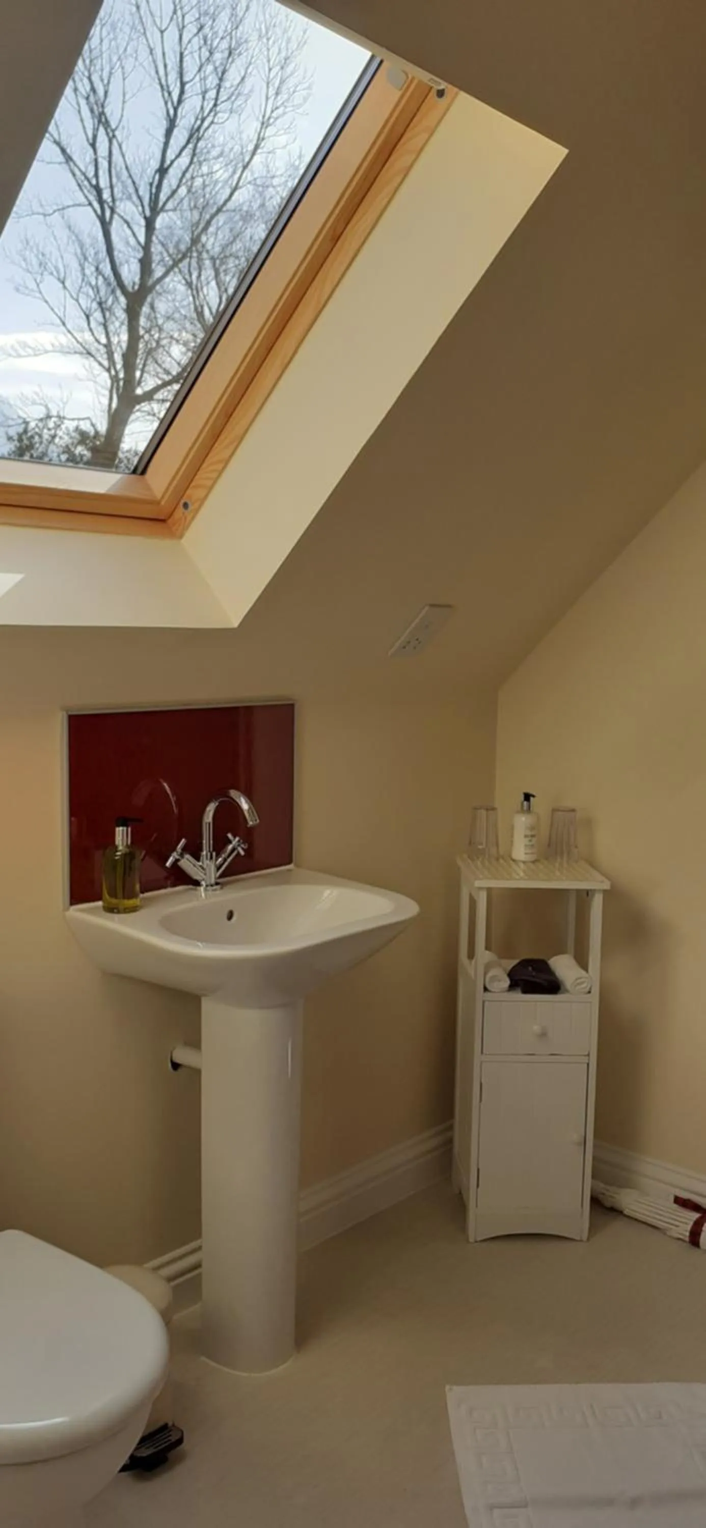 Shower in Beechwood Cottage B&B