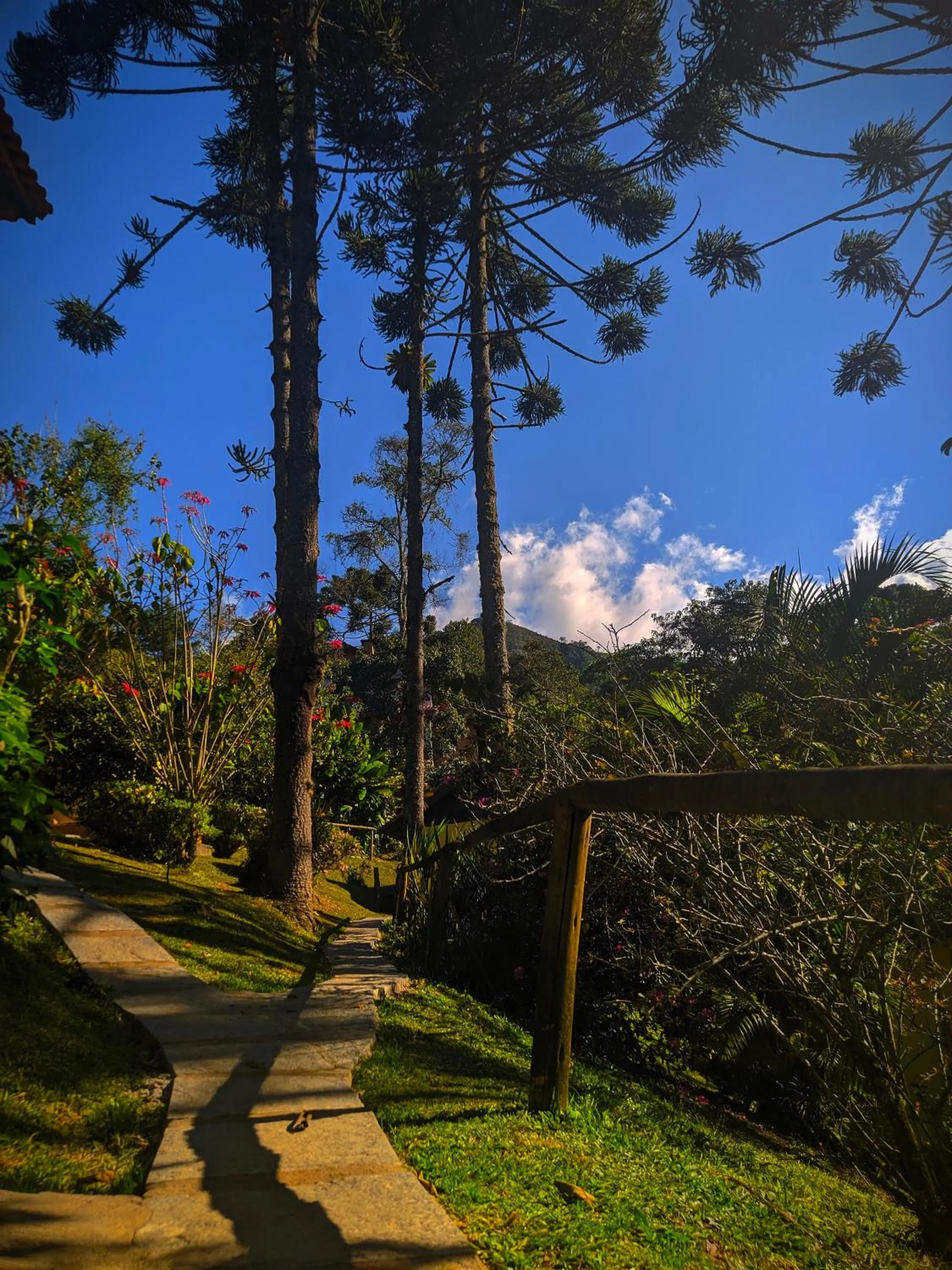 Natural landscape in Pousada Bella Ana
