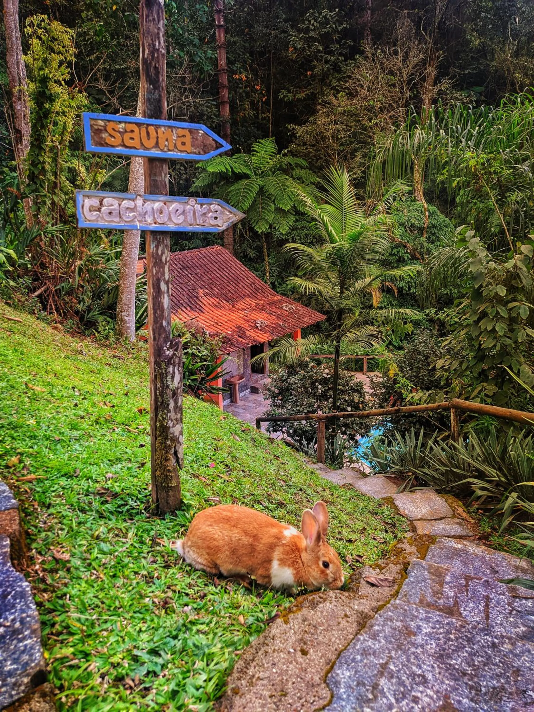 Natural landscape in Pousada Bella Ana